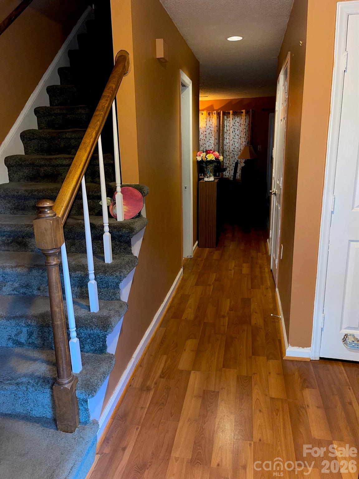 5305 Amity Springs Drive Property Photo 2