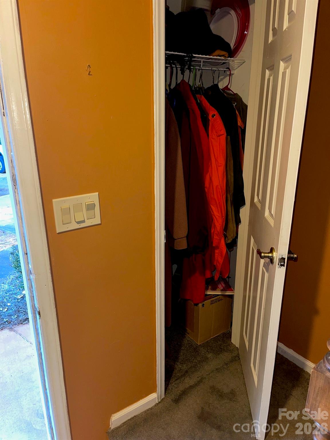 5305 Amity Springs Drive Property Photo 6