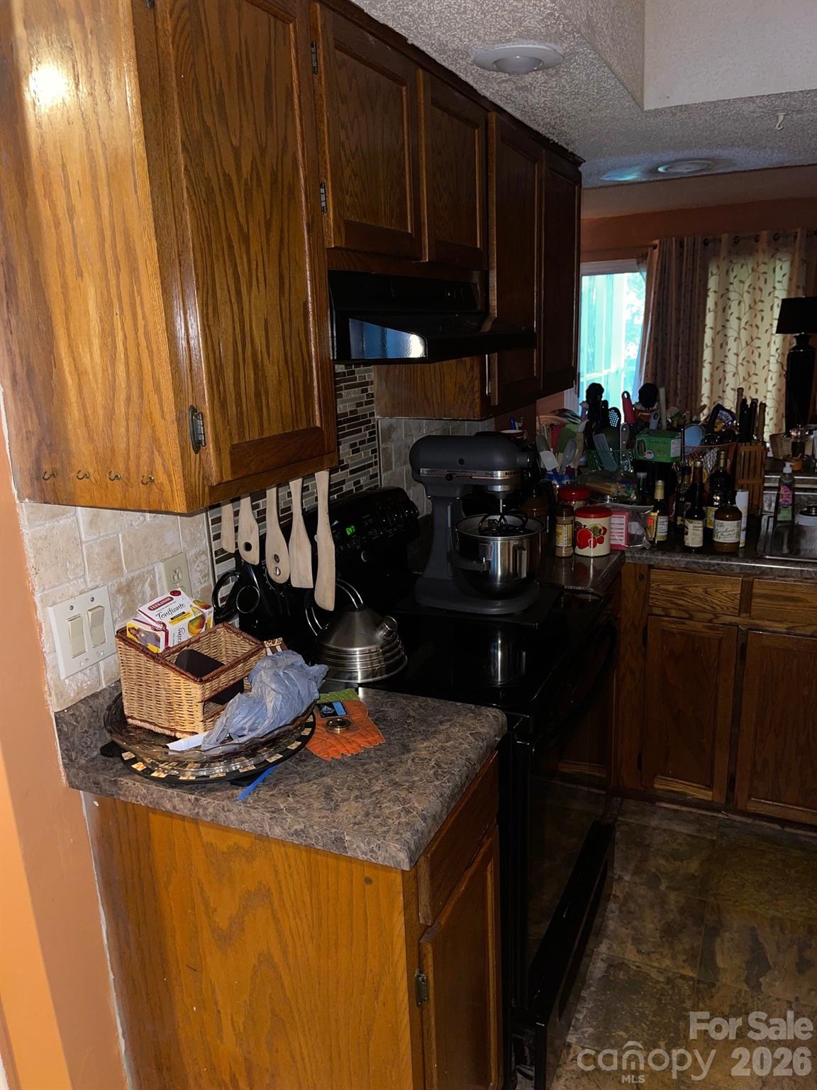 5305 Amity Springs Drive Property Photo 8