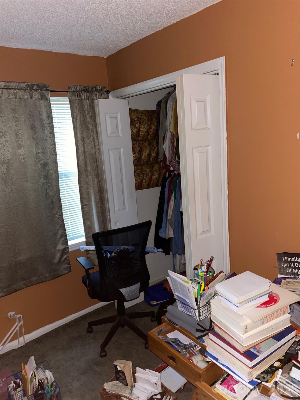 5305 Amity Springs Drive Property Photo 14