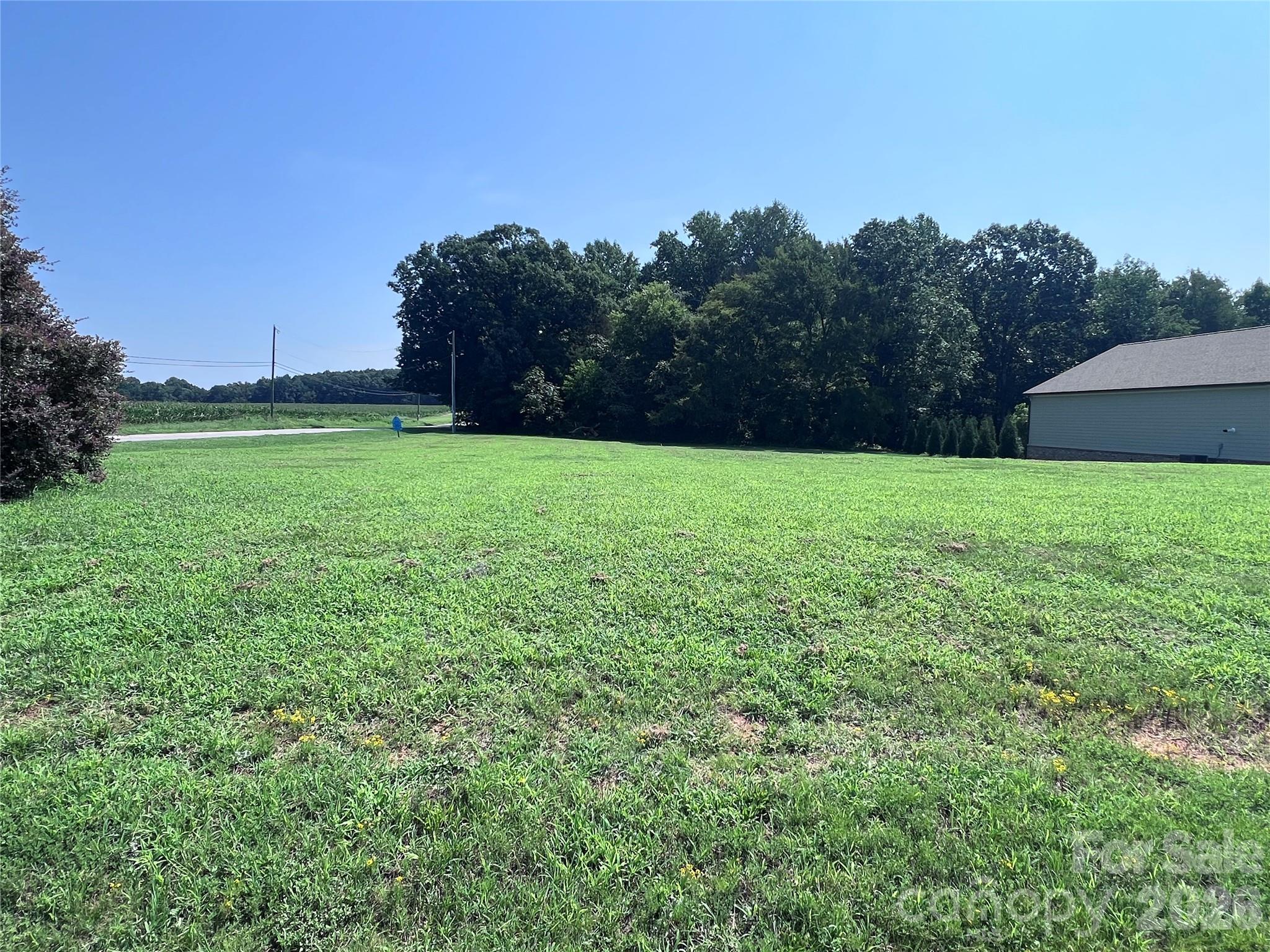 115 Brookleaf Lane Property Photo 3