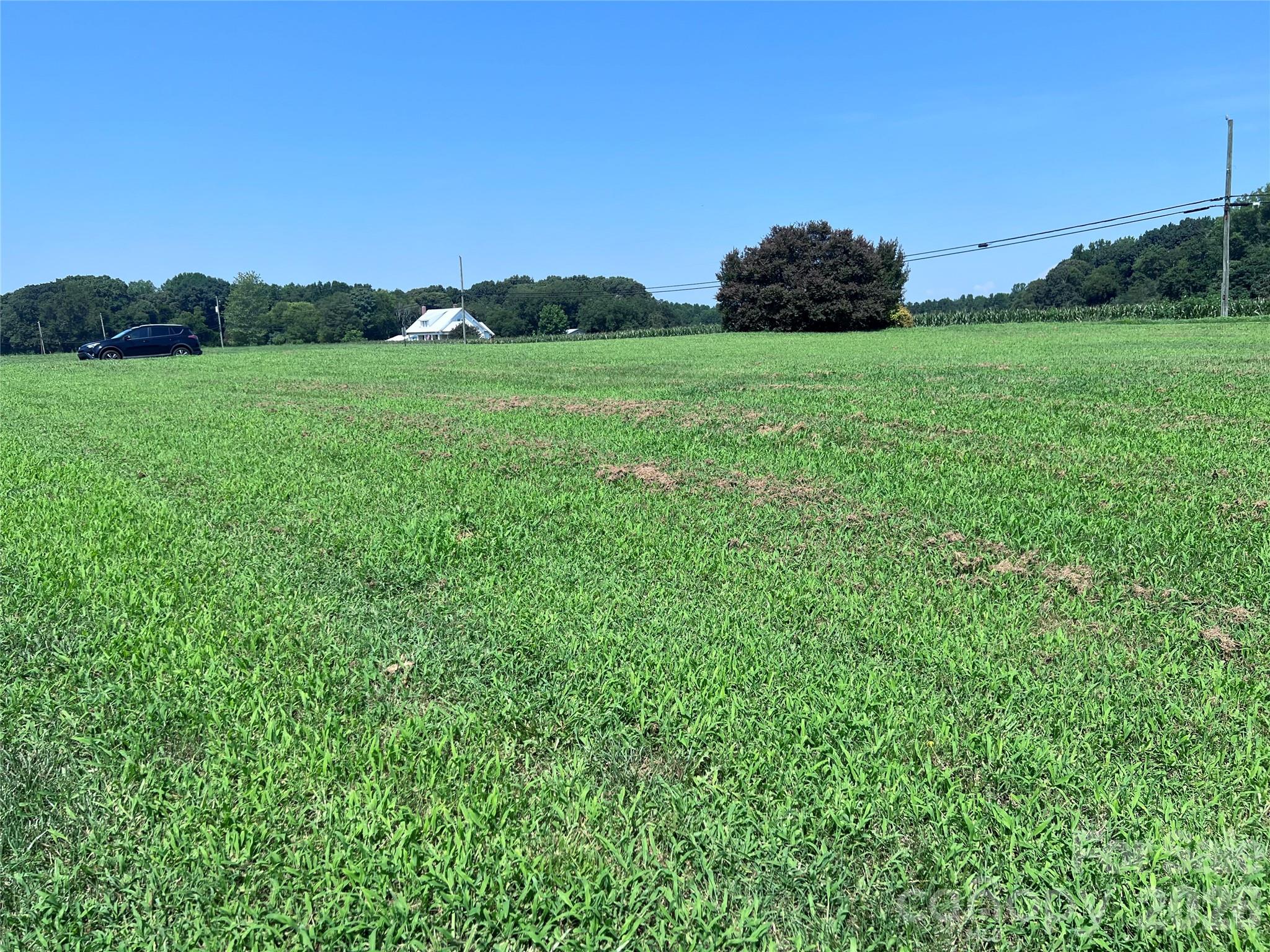 115 Brookleaf Lane Property Photo 4