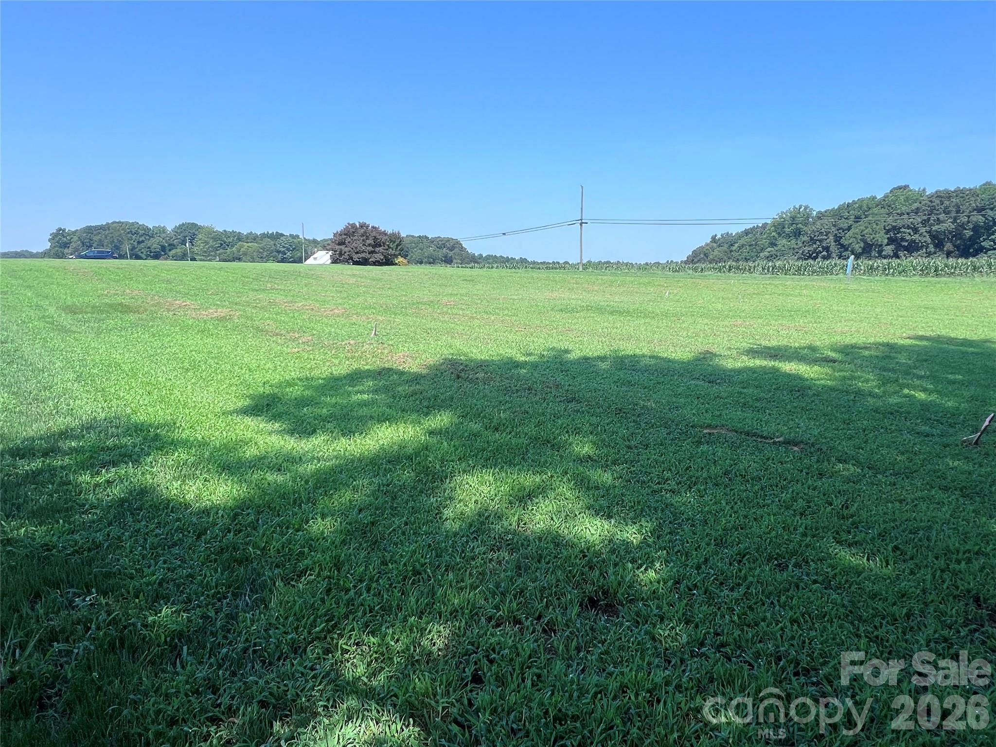 115 Brookleaf Lane Property Photo 6