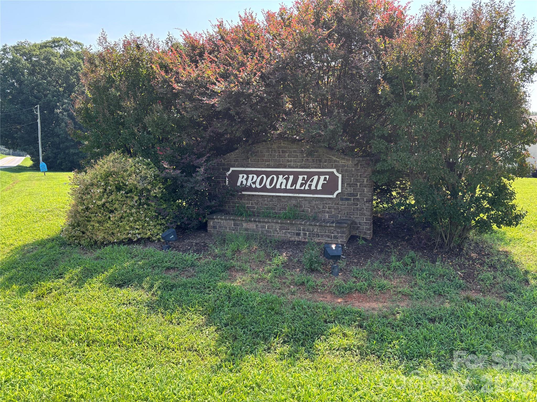 115 Brookleaf Lane Property Photo 8