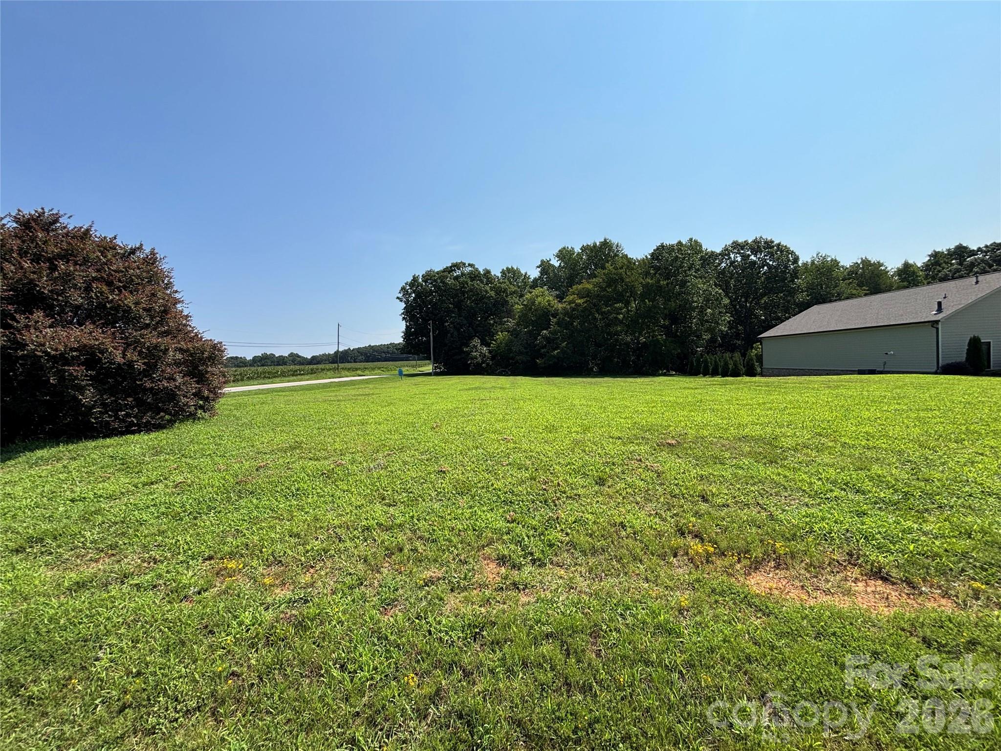 115 Brookleaf Lane Property Photo 10