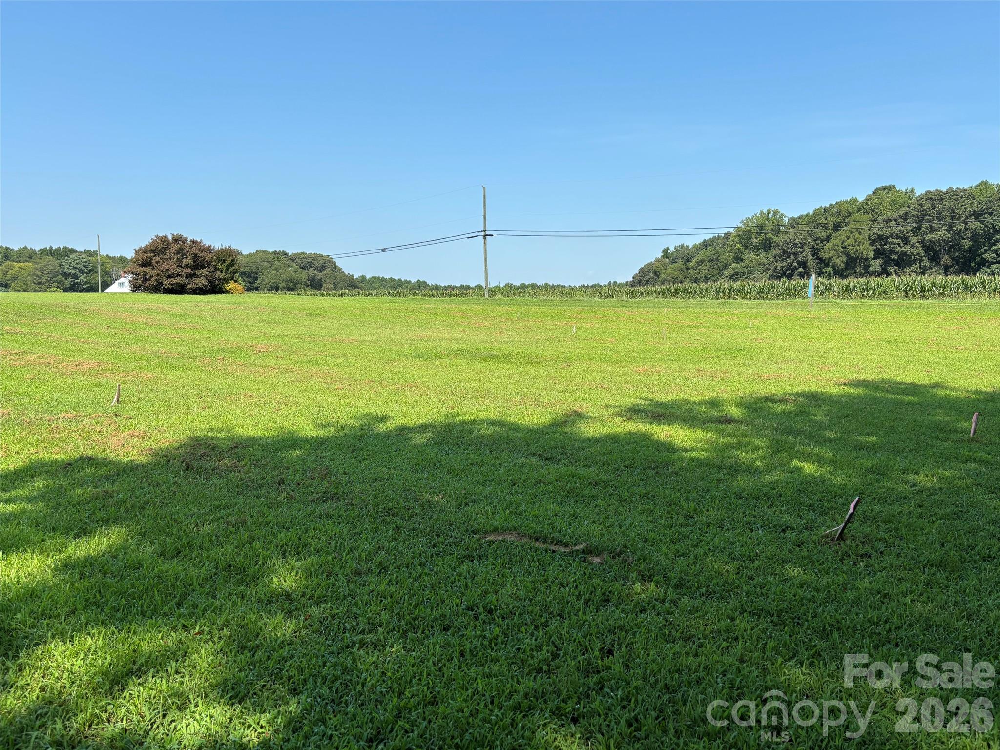 115 Brookleaf Lane Property Photo 12