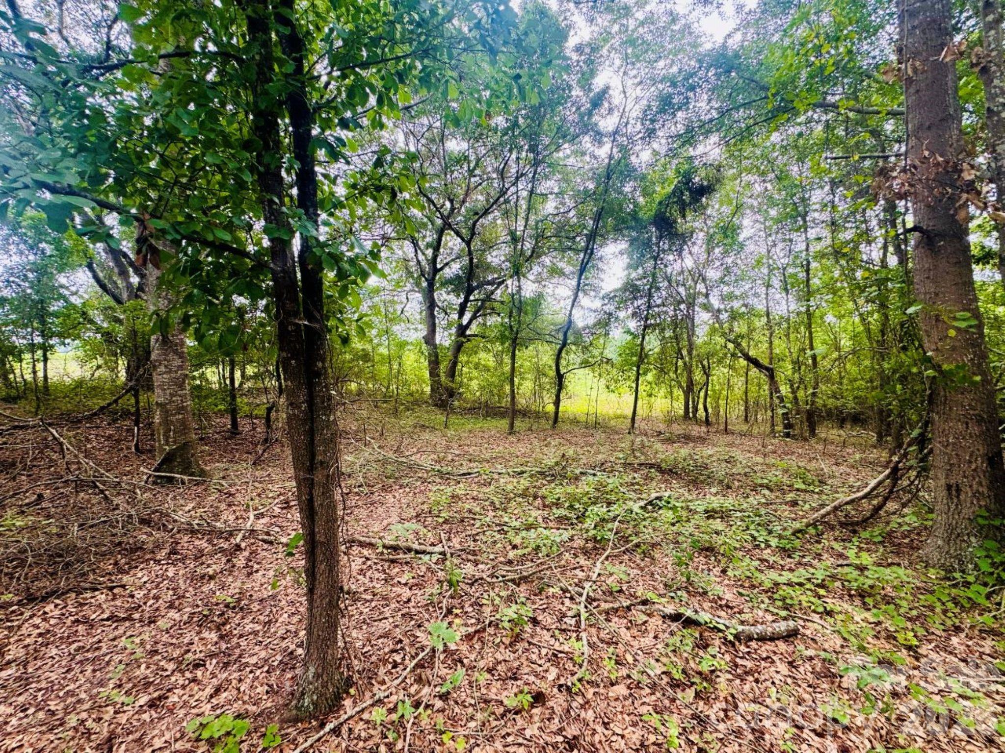 0000 Skeeter Lane Property Photo 7