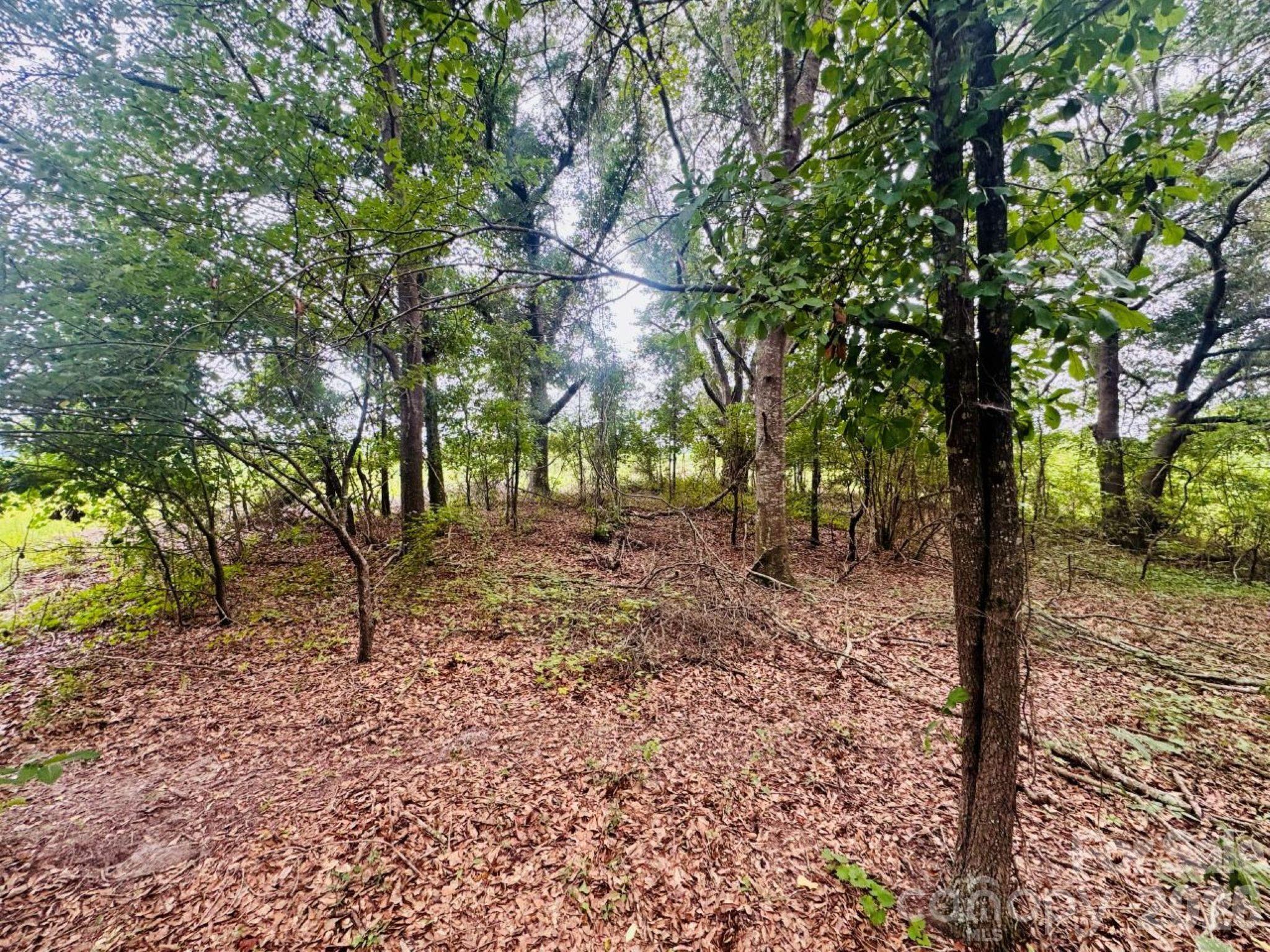 0000 Skeeter Lane Property Photo 8
