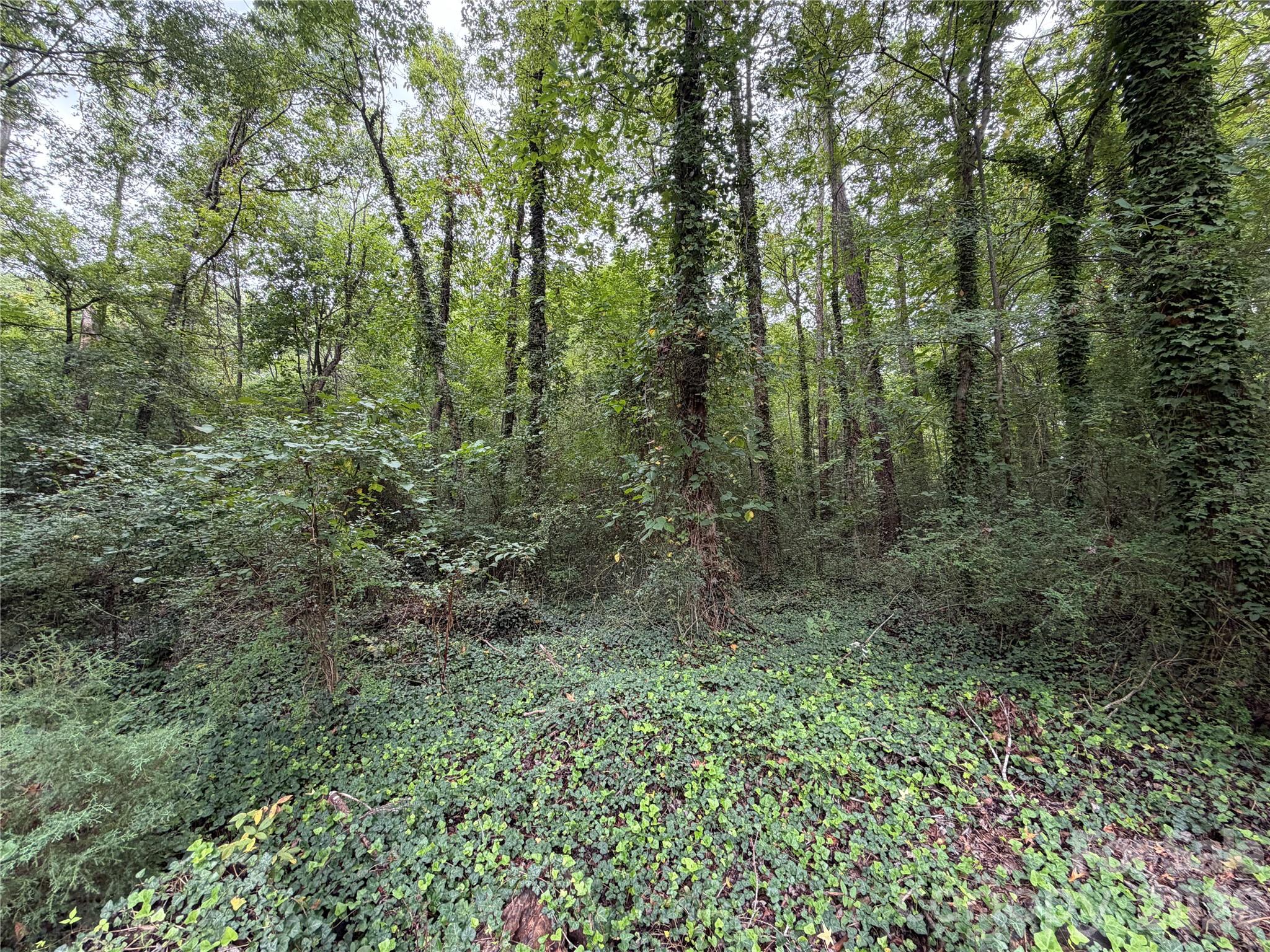 2208 Pinebrook Circle Property Photo 41