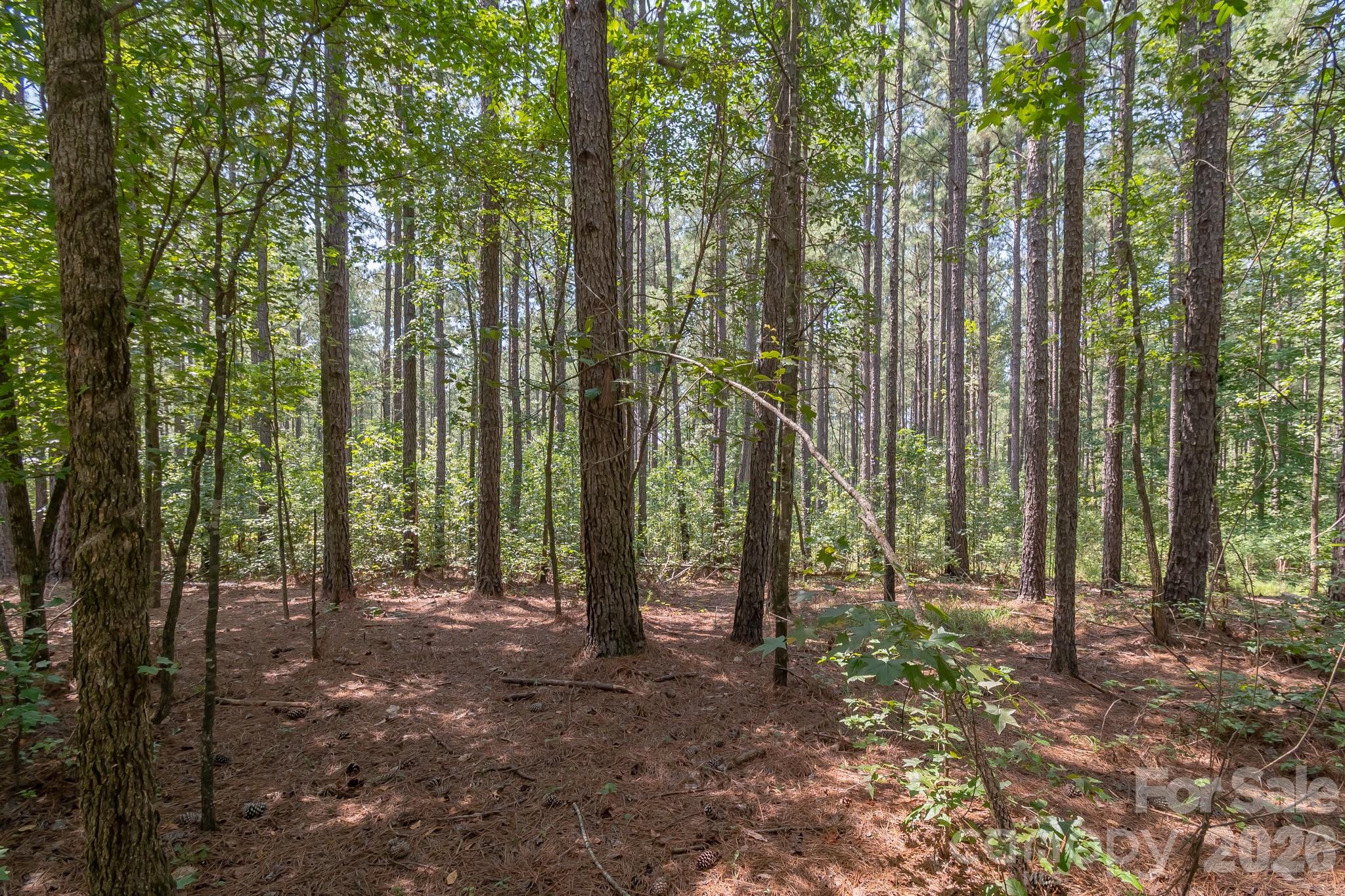 0 Riverbluff Lane Property Photo 26