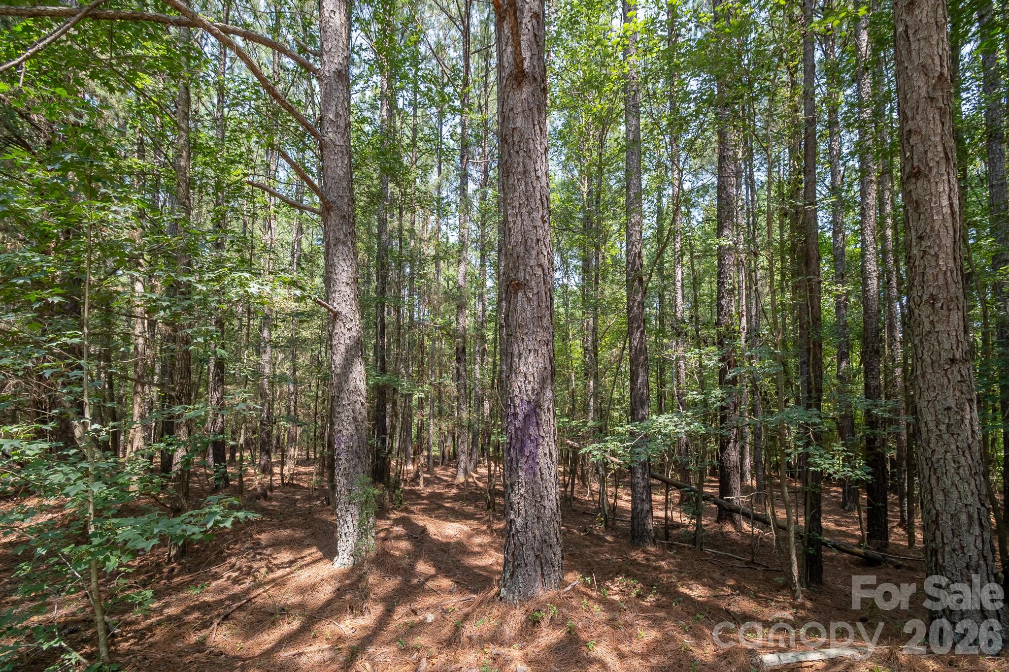 0 Riverbluff Lane Property Photo 27