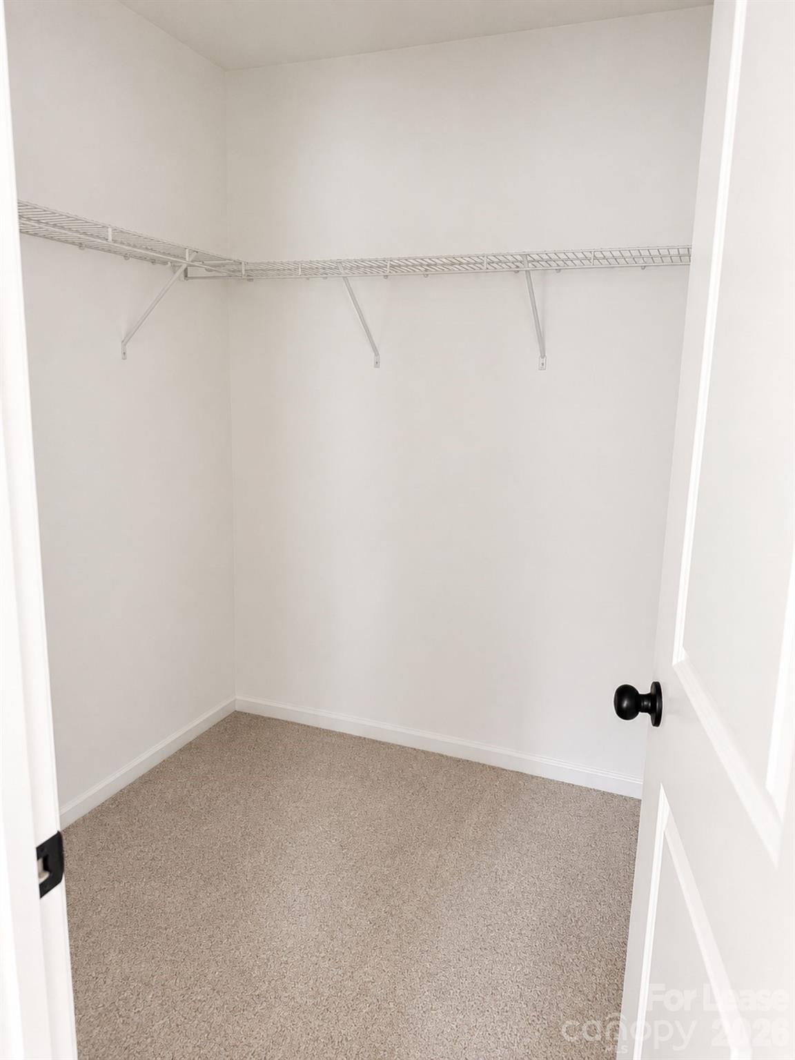 14122 Magnolia Walk Drive Property Photo 23