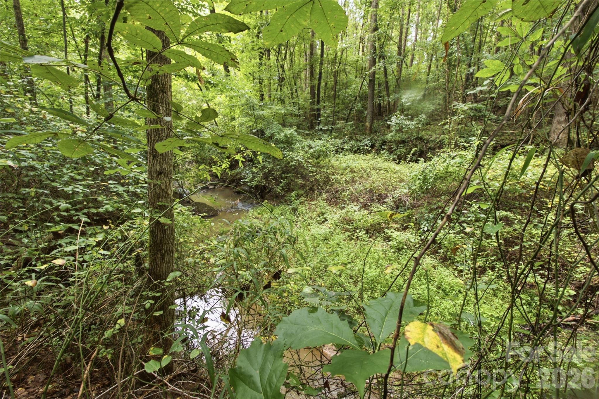 643 Alf Hoover Road Property Photo 10