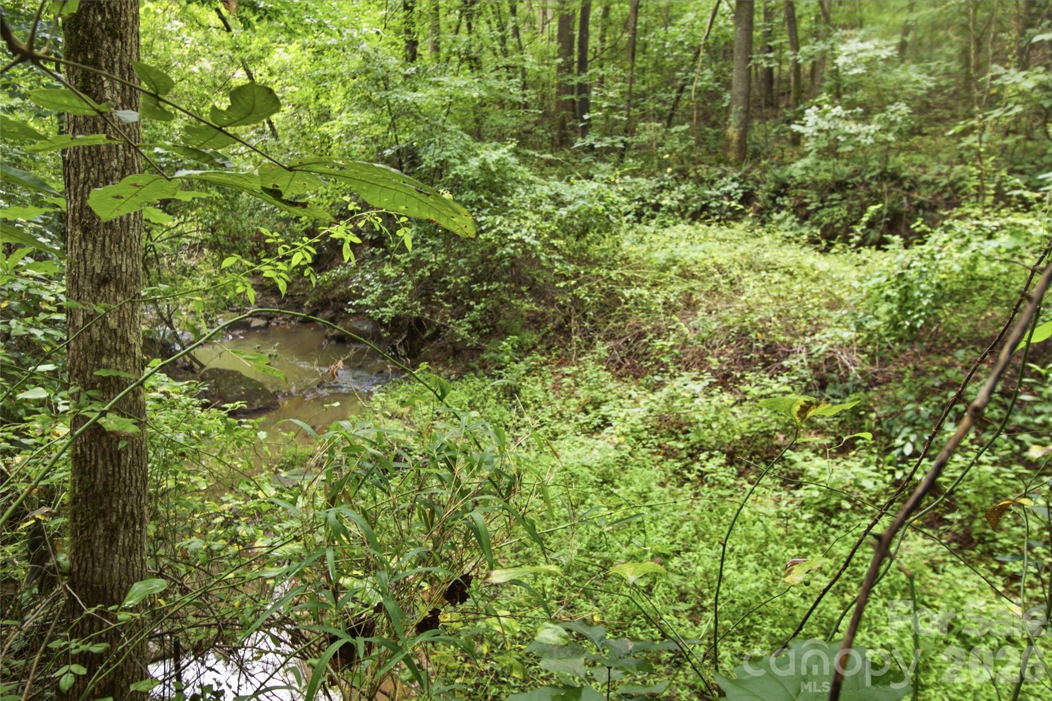 643 Alf Hoover Road Property Photo 11