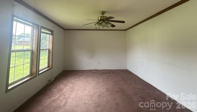 311 W Timberland Drive Property Photo 4