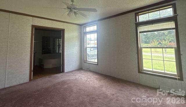311 W Timberland Drive Property Photo 6