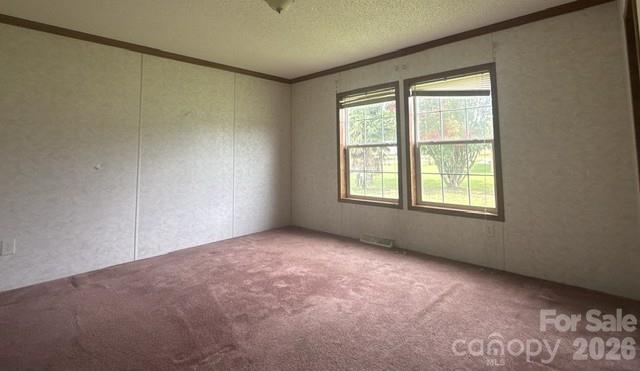 311 W Timberland Drive Property Photo 9