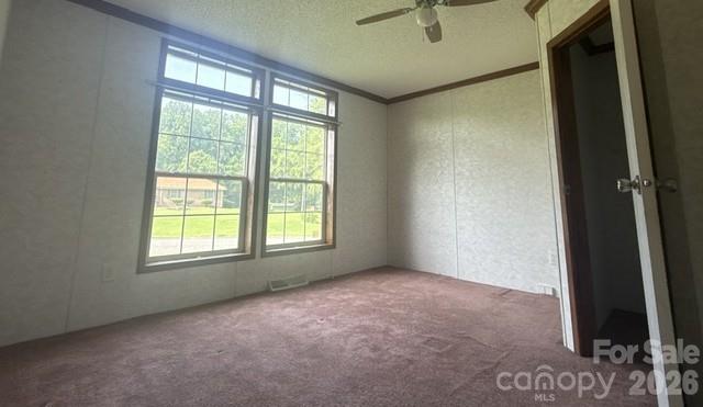 311 W Timberland Drive Property Photo 10