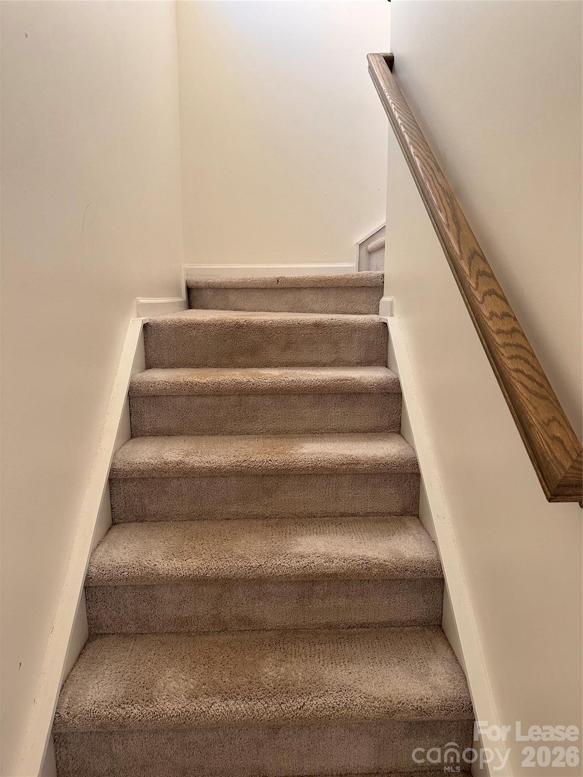 12828 Canton Side Avenue Property Photo 10