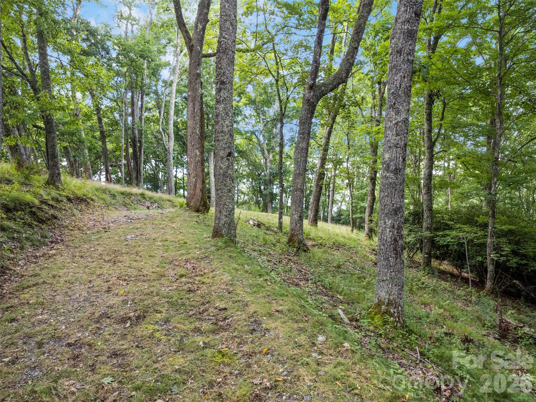 000 Wagon Trail Road Property Photo 3