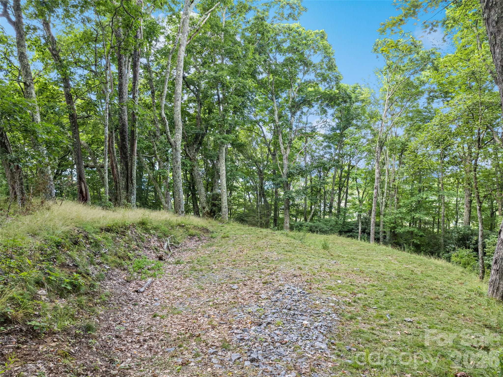000 Wagon Trail Road Property Photo 4
