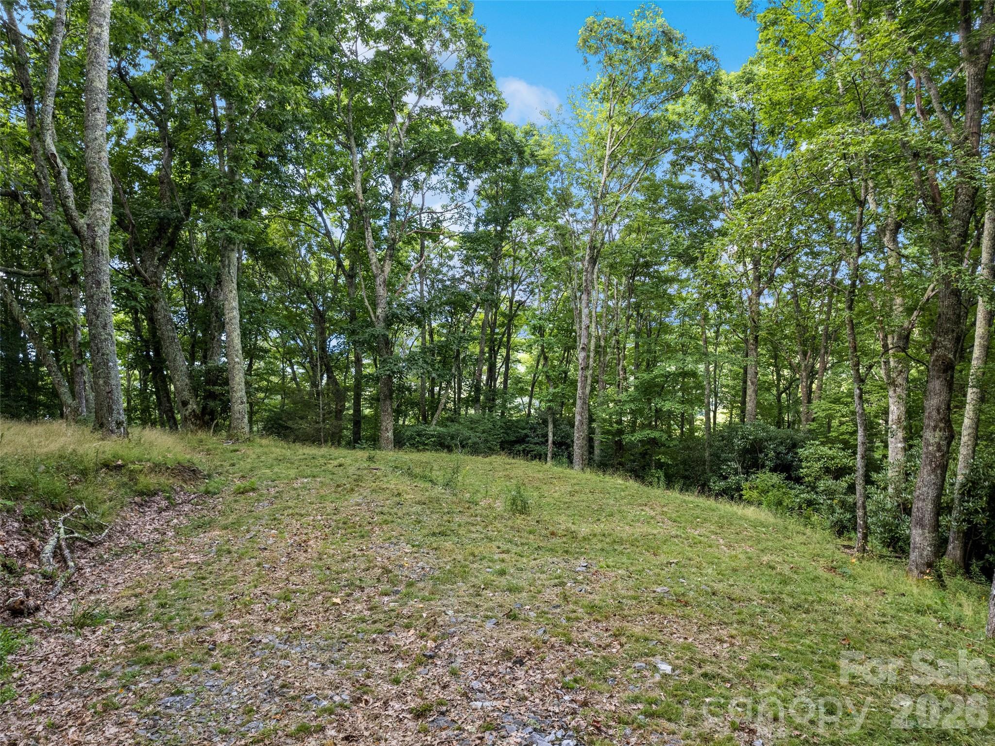 000 Wagon Trail Road Property Photo 5