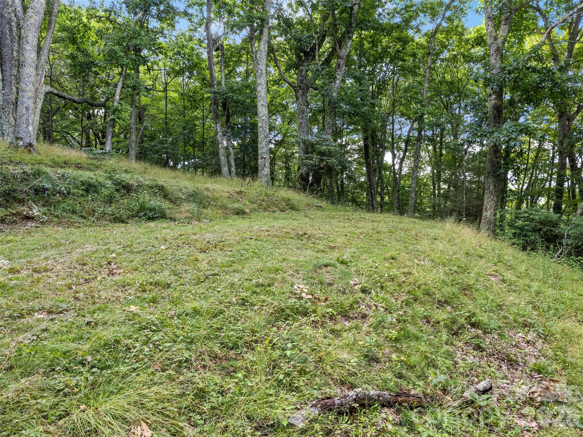000 Wagon Trail Road Property Photo 8