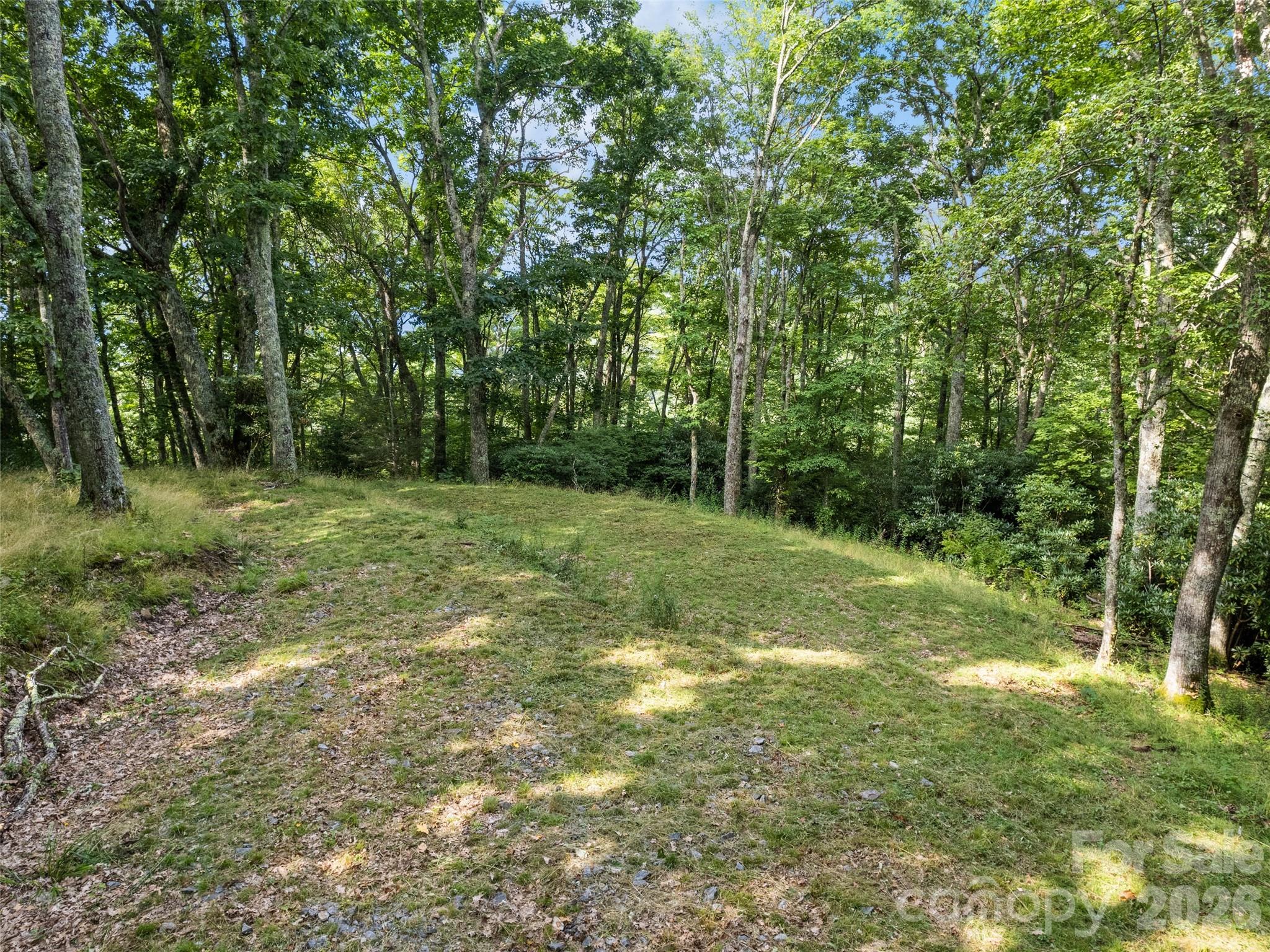 000 Wagon Trail Road Property Photo 9