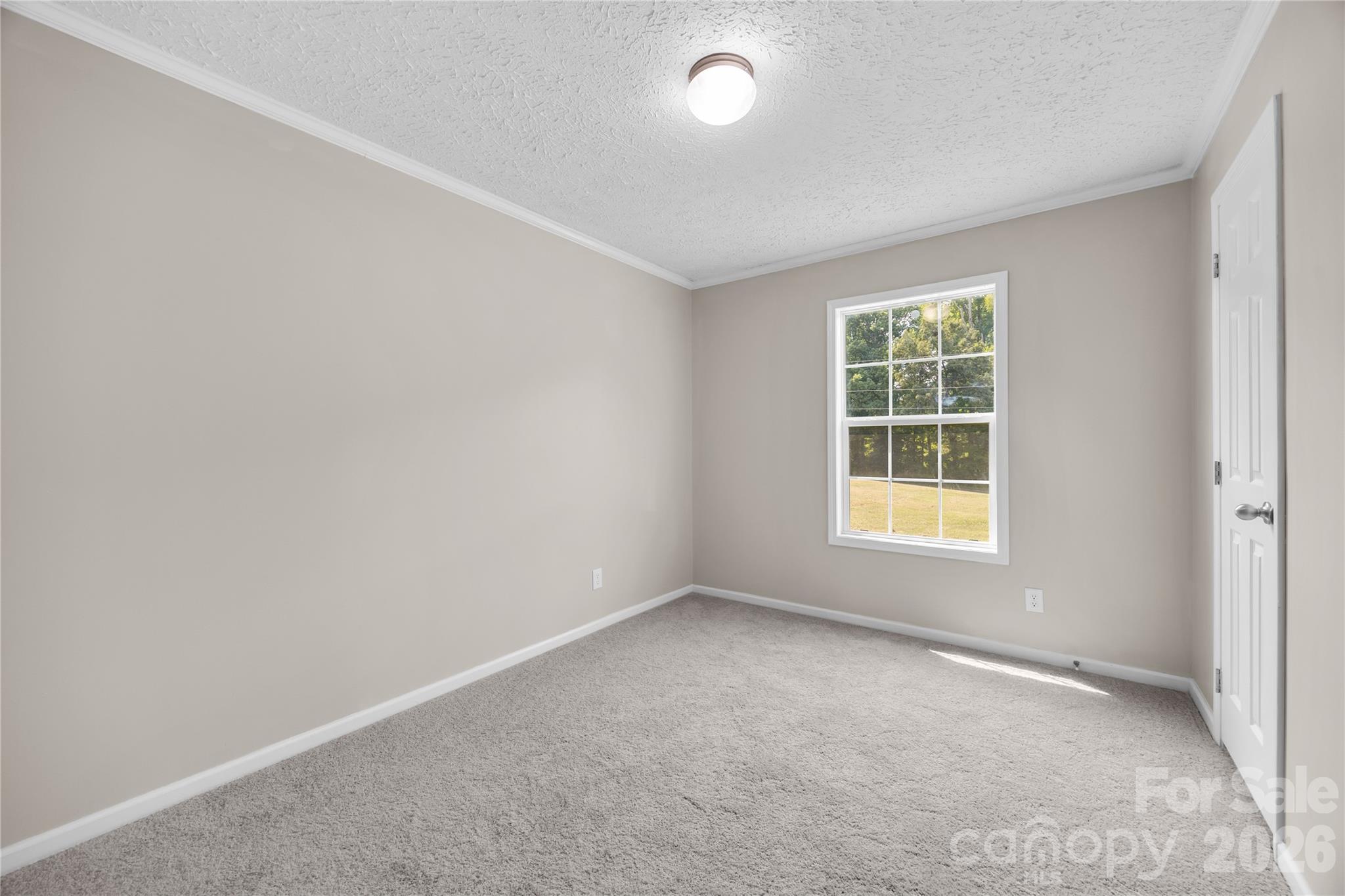 6701 Philadelphia Church Road Property Photo 18