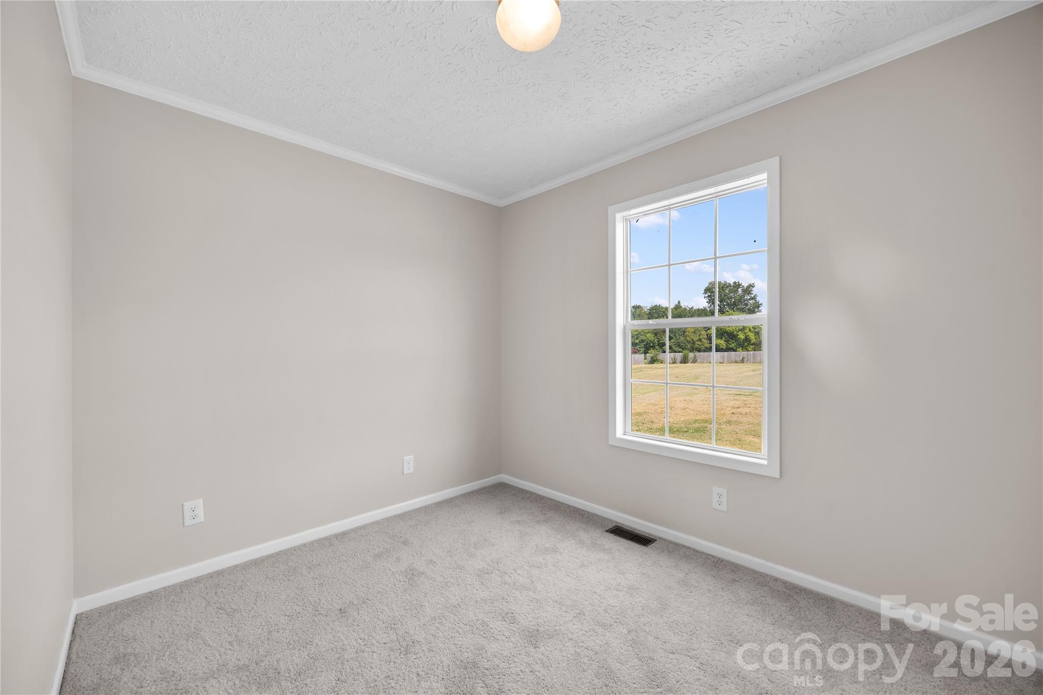 6701 Philadelphia Church Road Property Photo 20