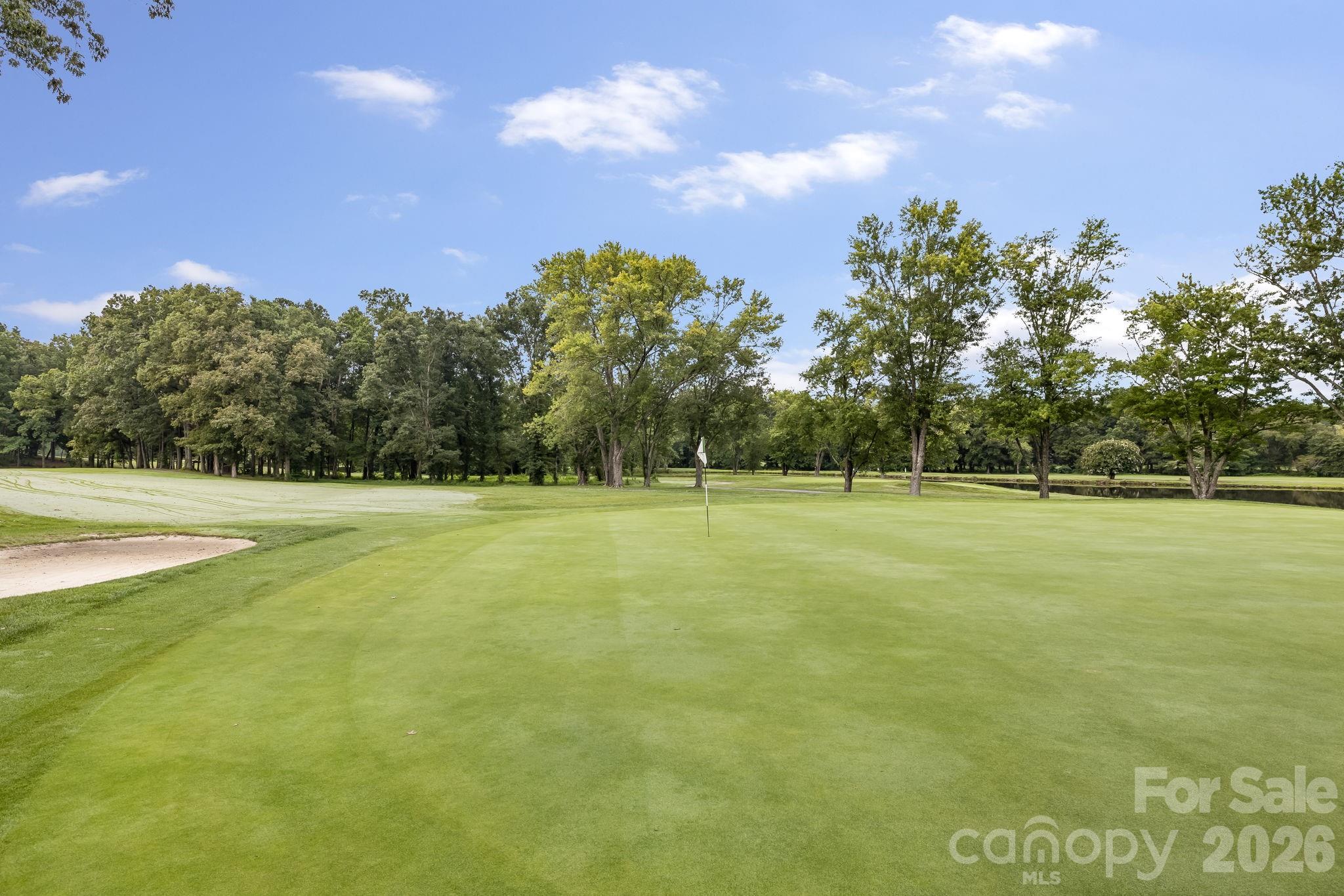 15 Moland Drive A Property Photo 42