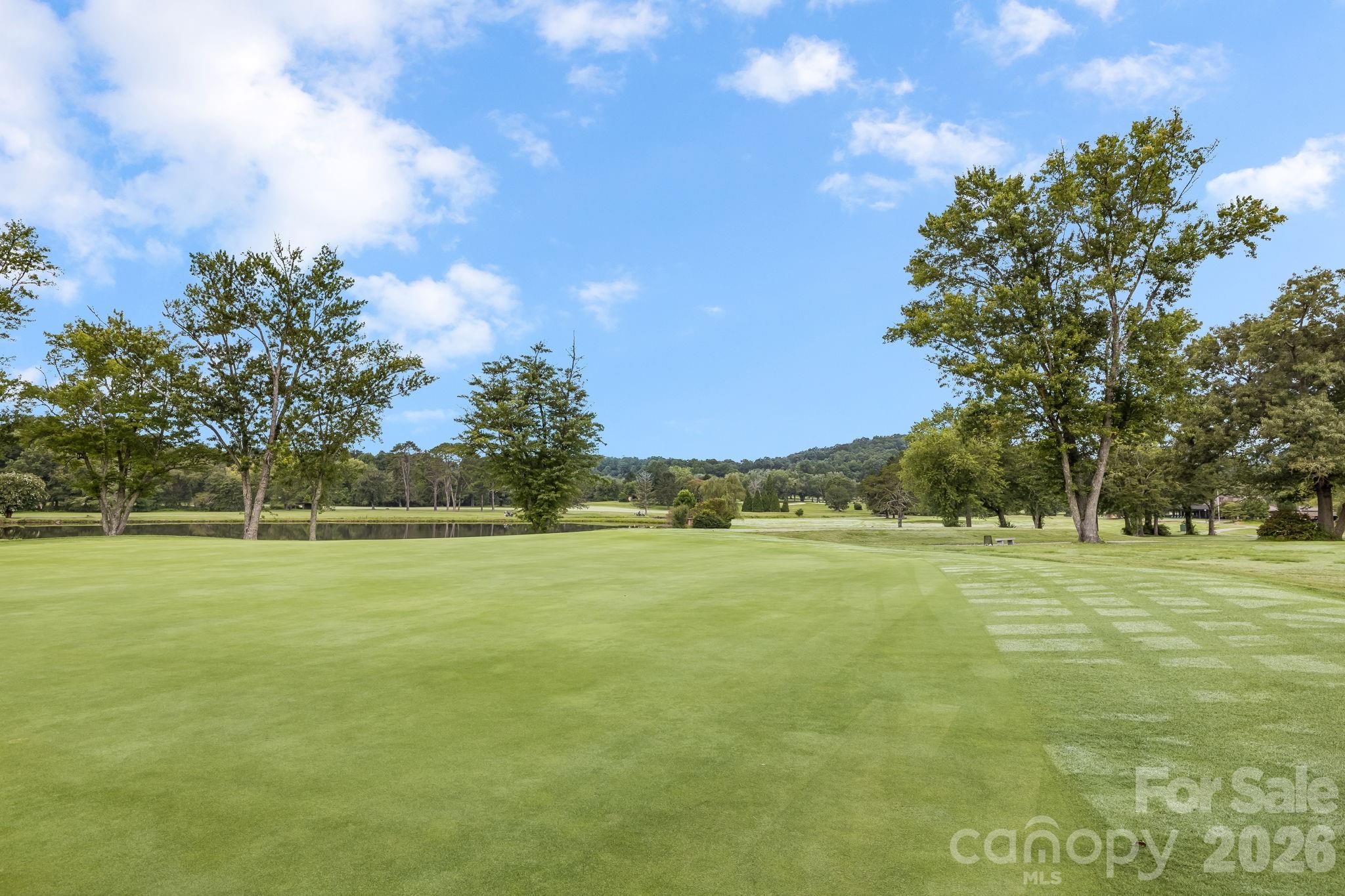 15 Moland Drive A Property Photo 43