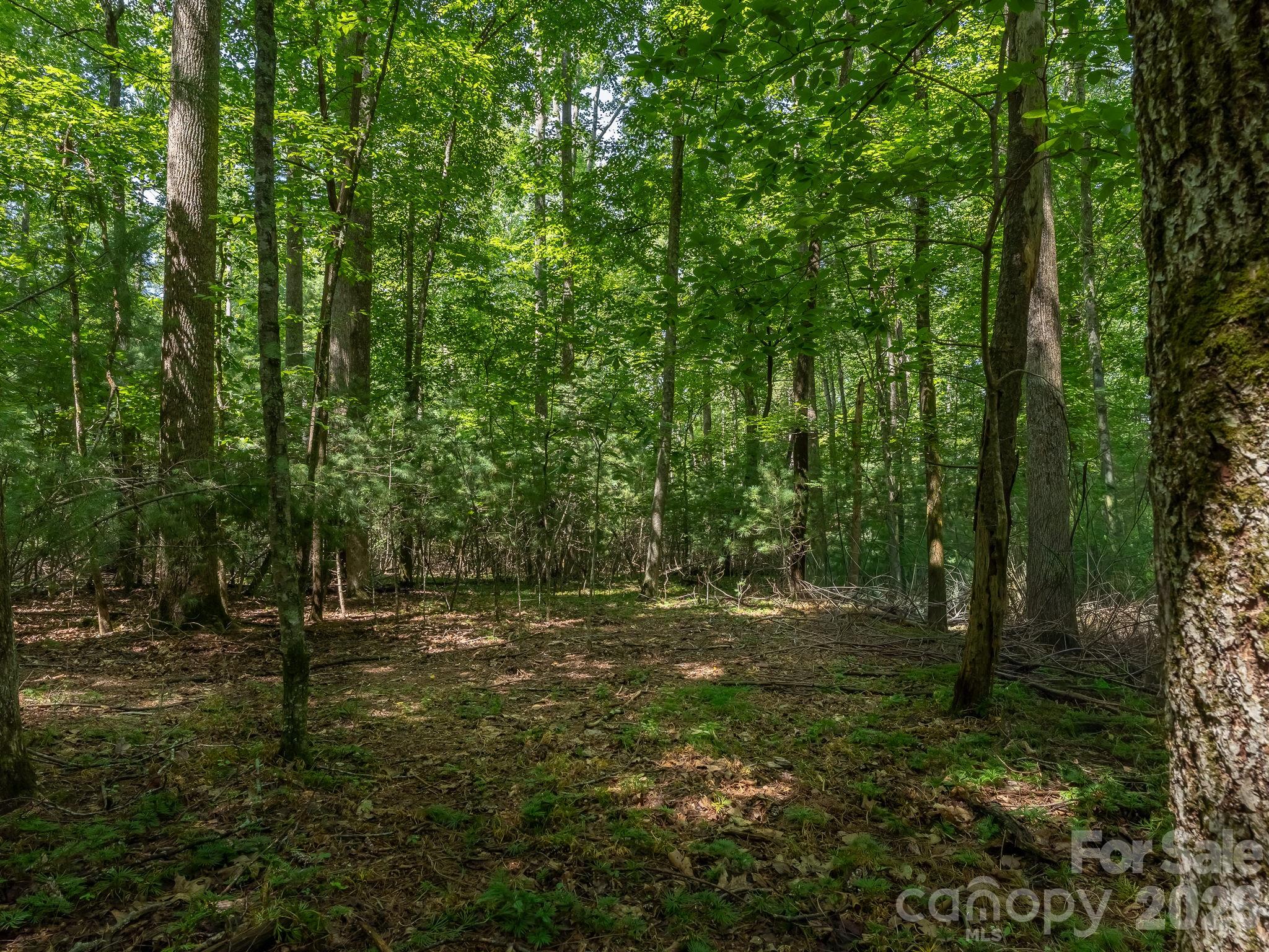 0 Hebron Road Property Photo 10