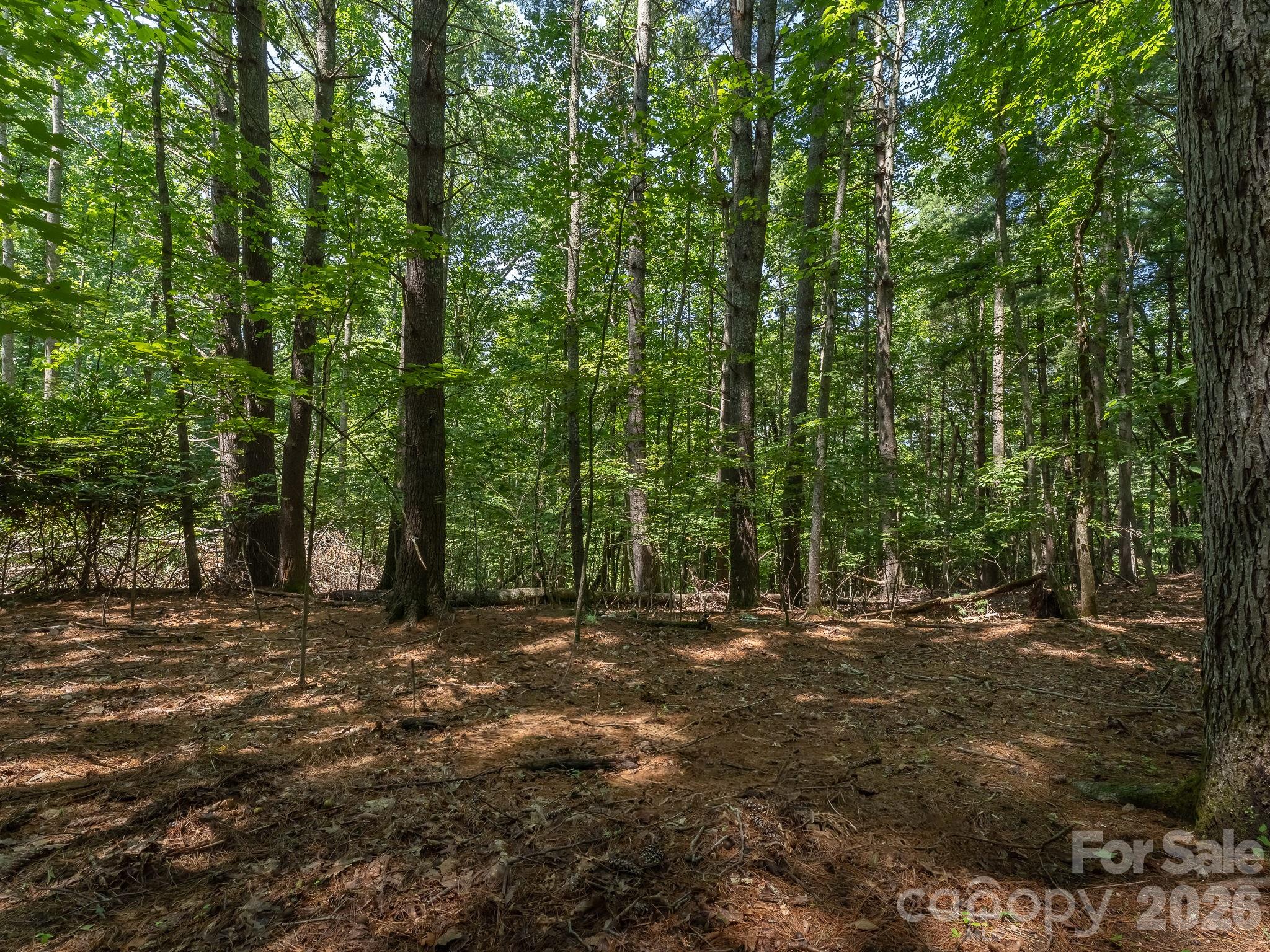 0 Hebron Road Property Photo 20