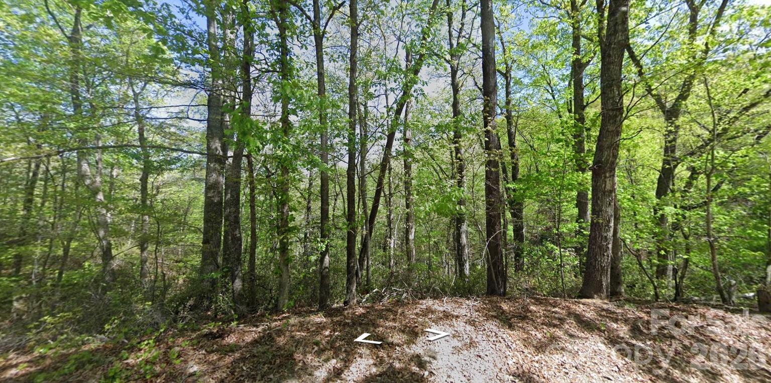 0 Buzzards Place Property Photo 1