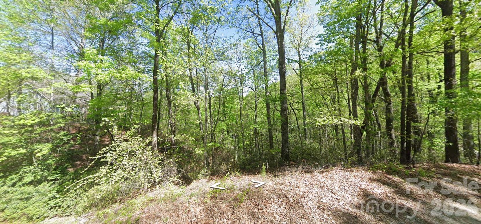 0 Buzzards Place Property Photo 2