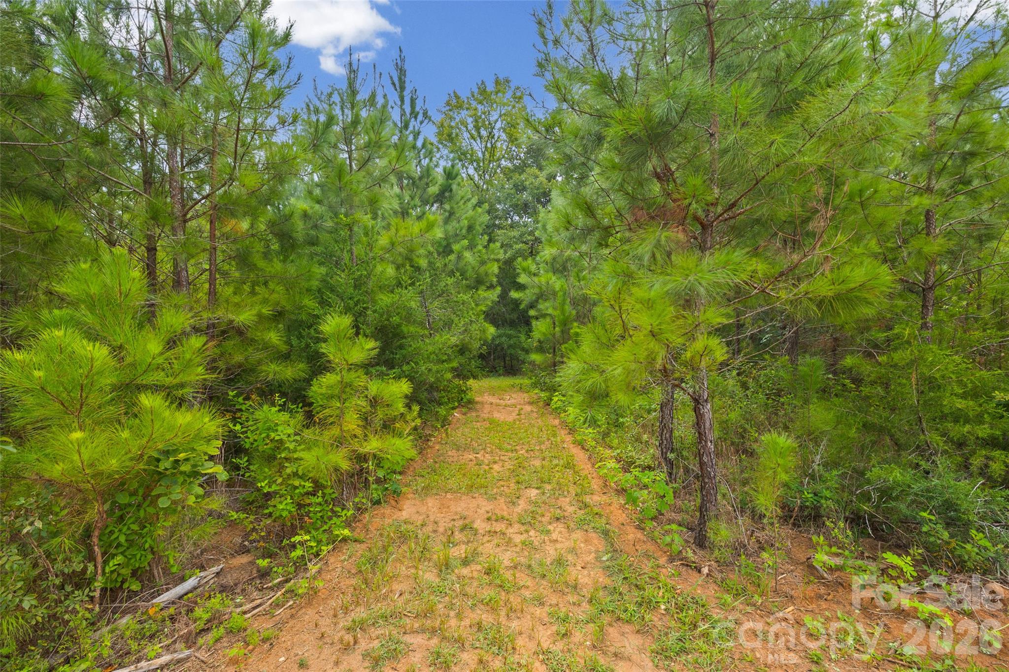 2231 Wooten Road Property Photo 29