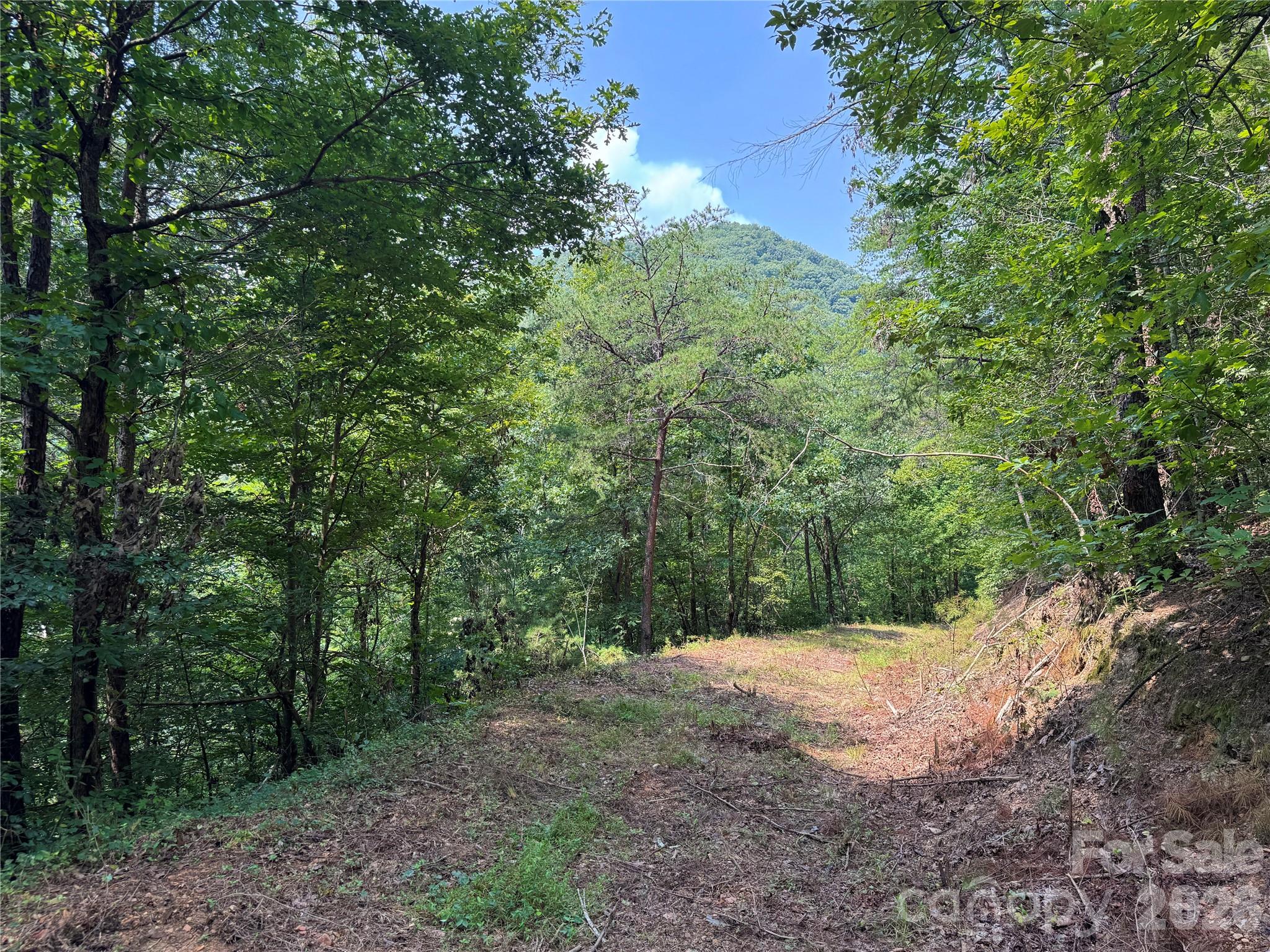 6080 River Road Property Photo 3