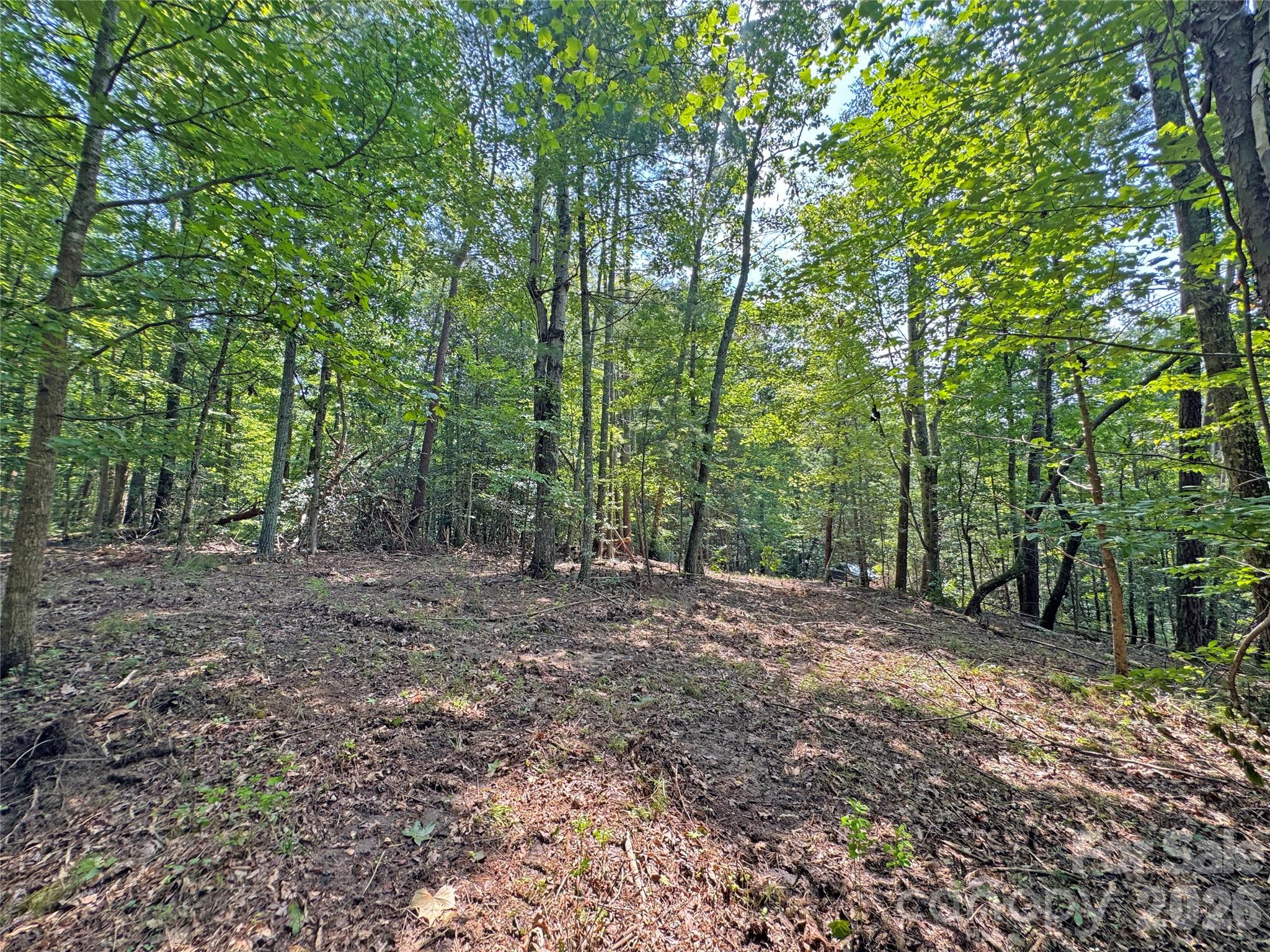 6080 River Road Property Photo 4