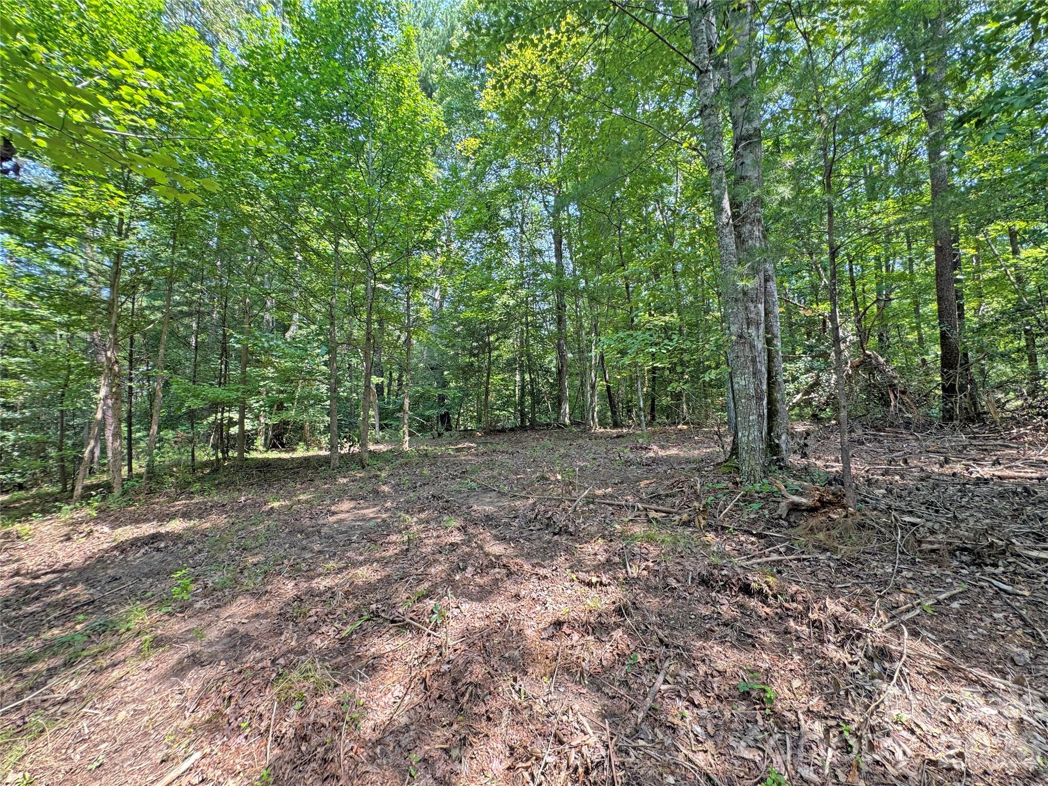 6080 River Road Property Photo 5