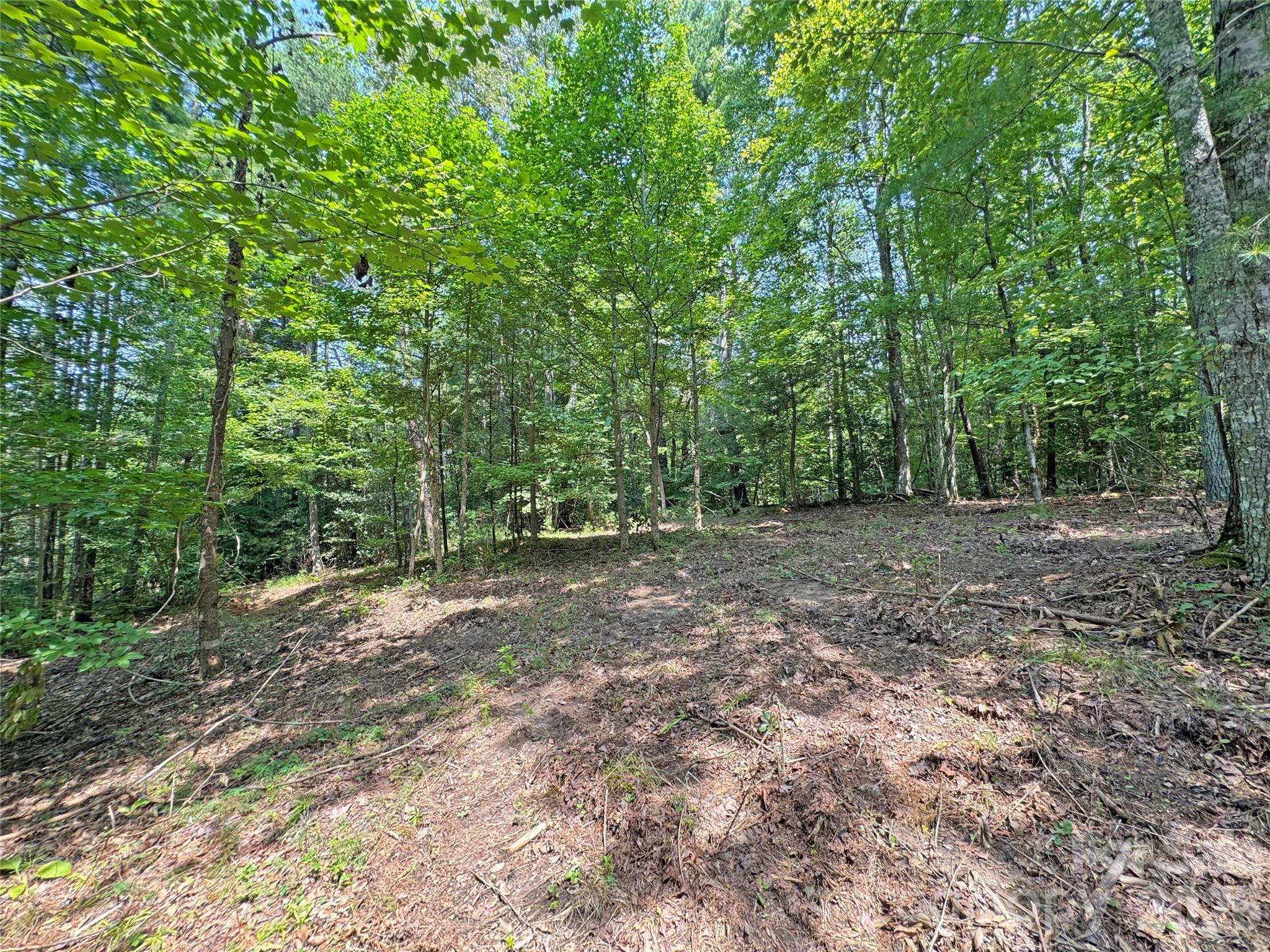 6080 River Road Property Photo 6