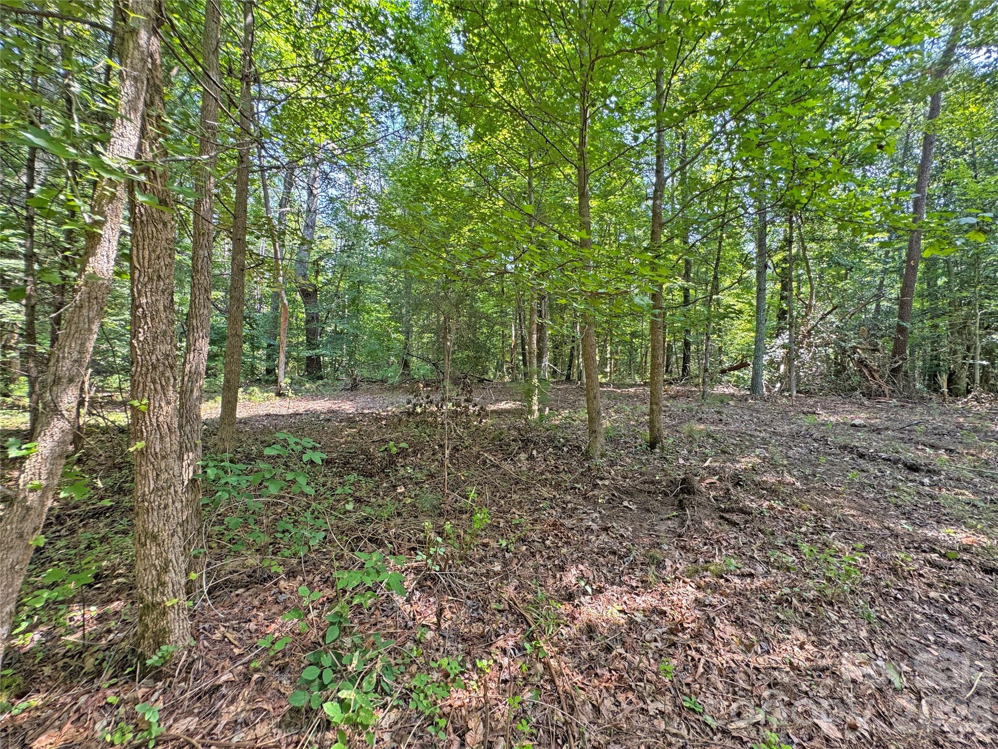 6080 River Road Property Photo 9