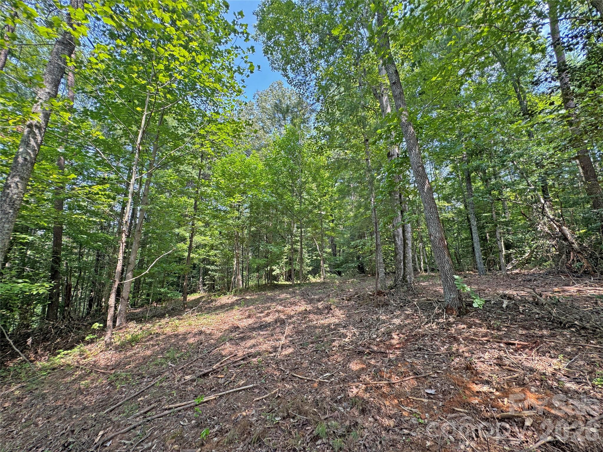 6080 River Road Property Photo 10