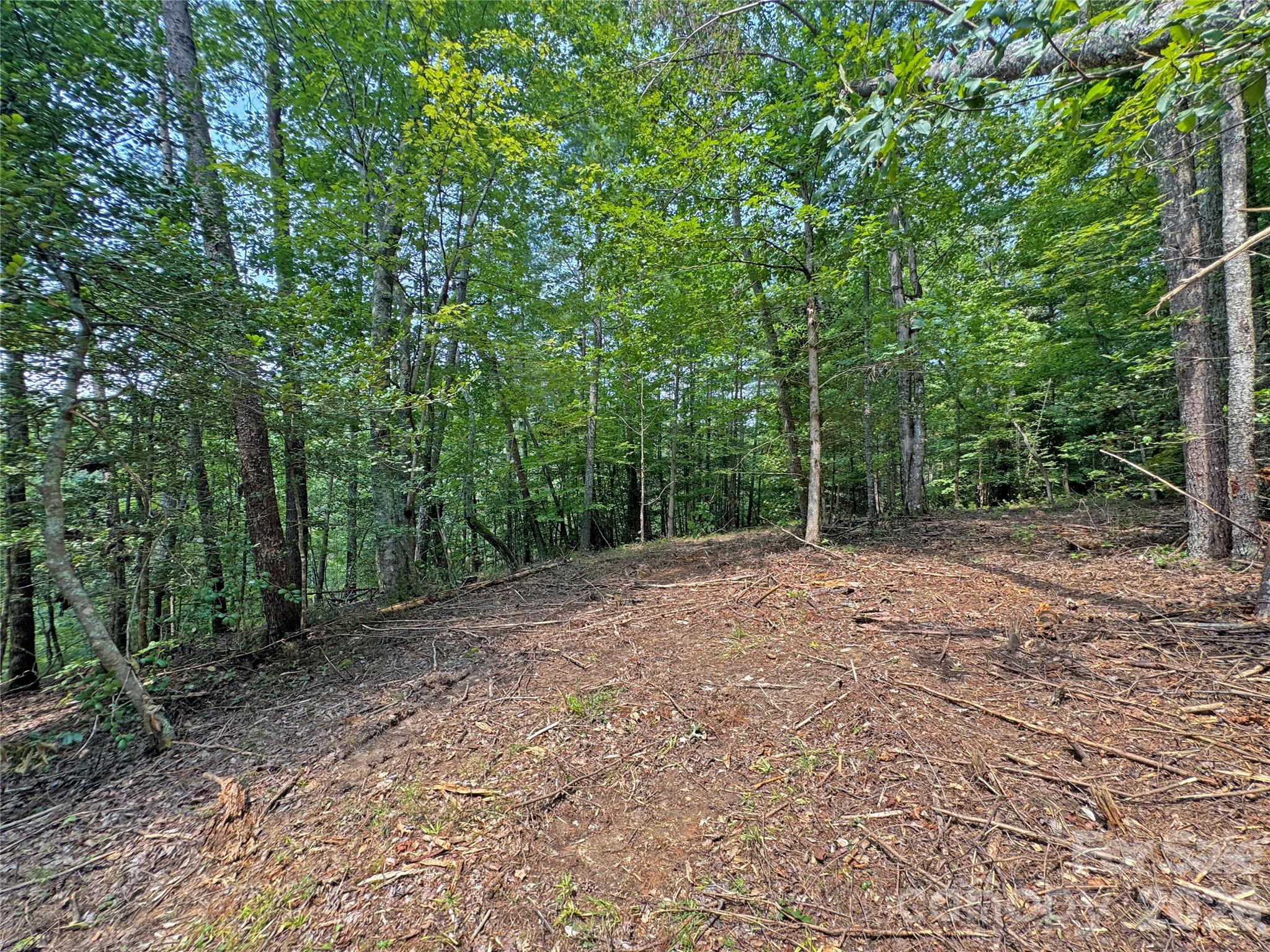 6080 River Road Property Photo 11