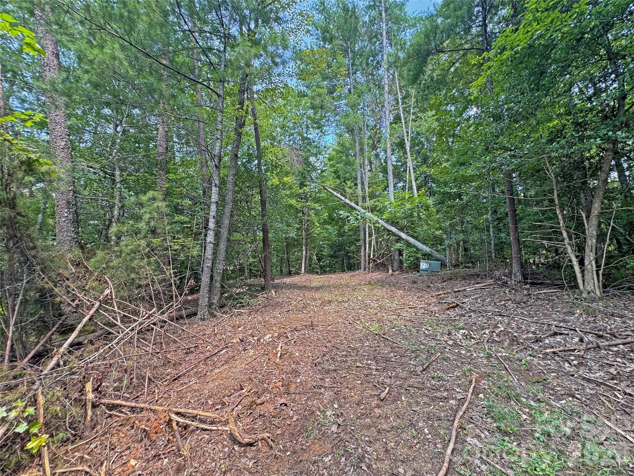 6080 River Road Property Photo 12