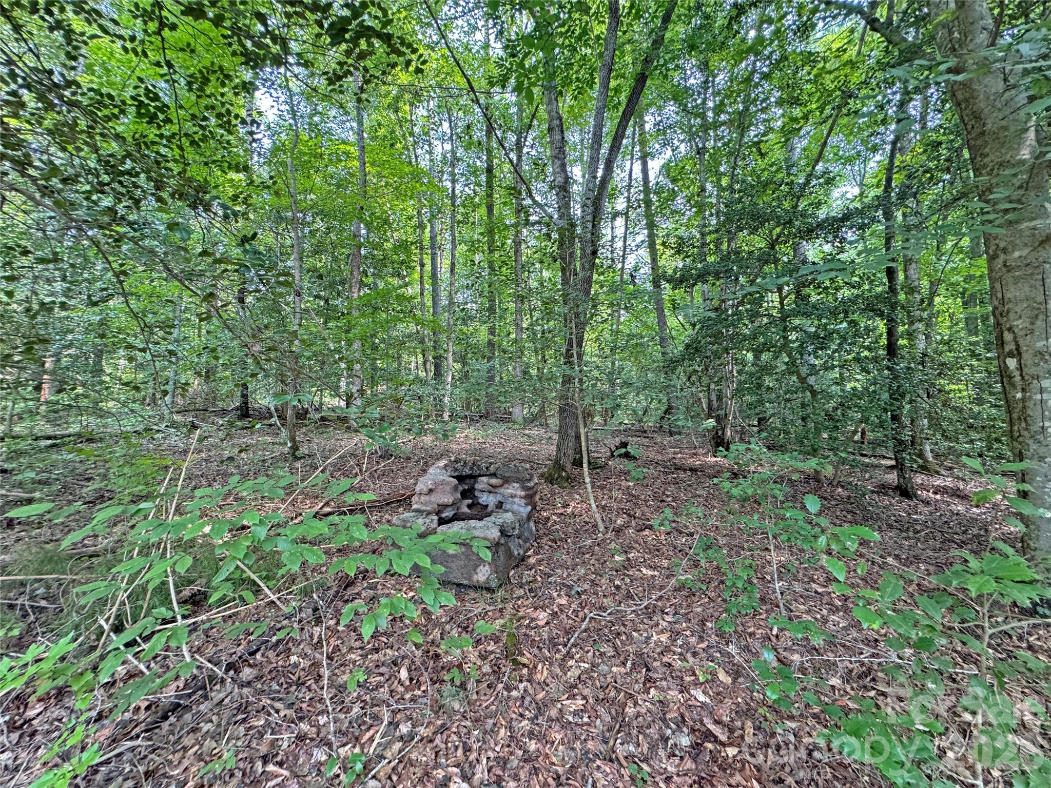 6080 River Road Property Photo 13