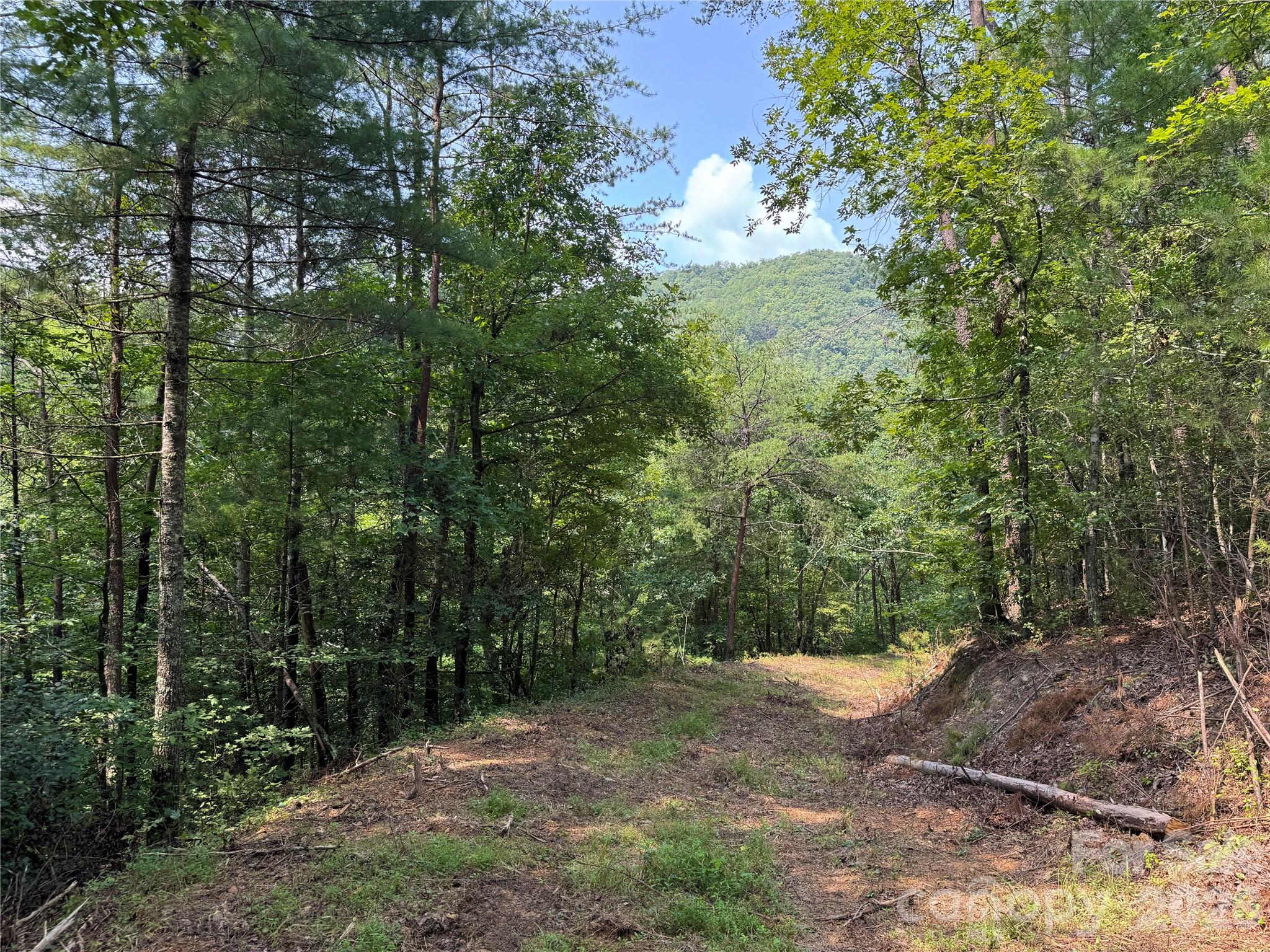 6080 River Road Property Photo 14