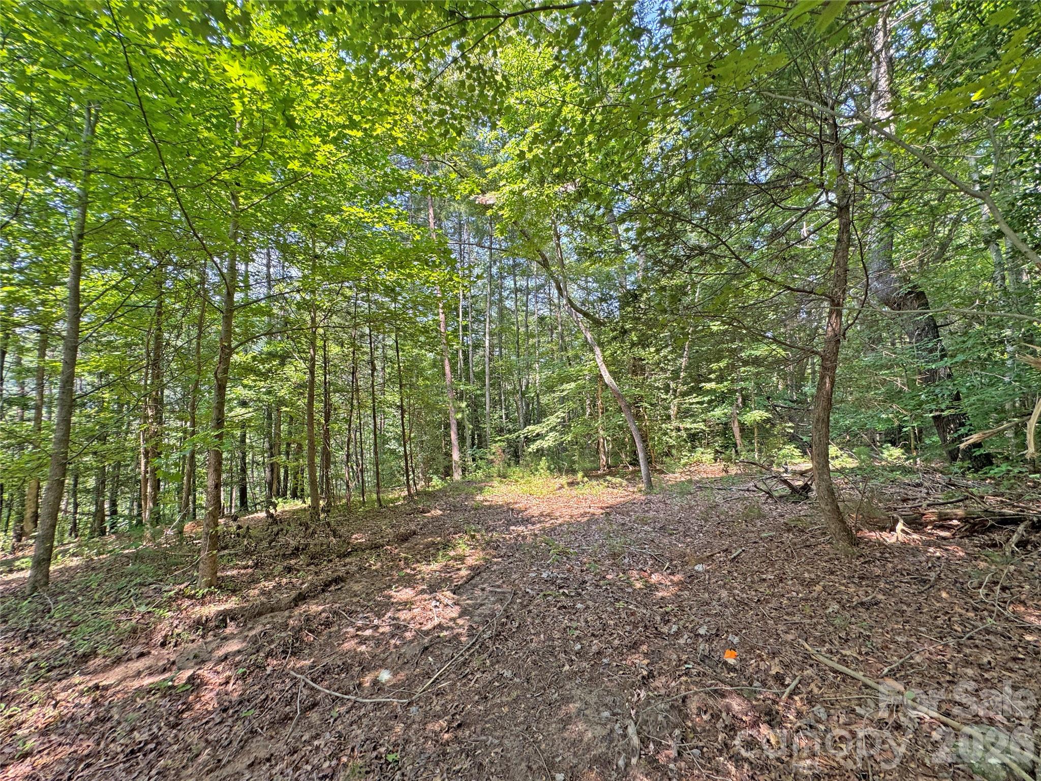 6080 River Road Property Photo 16