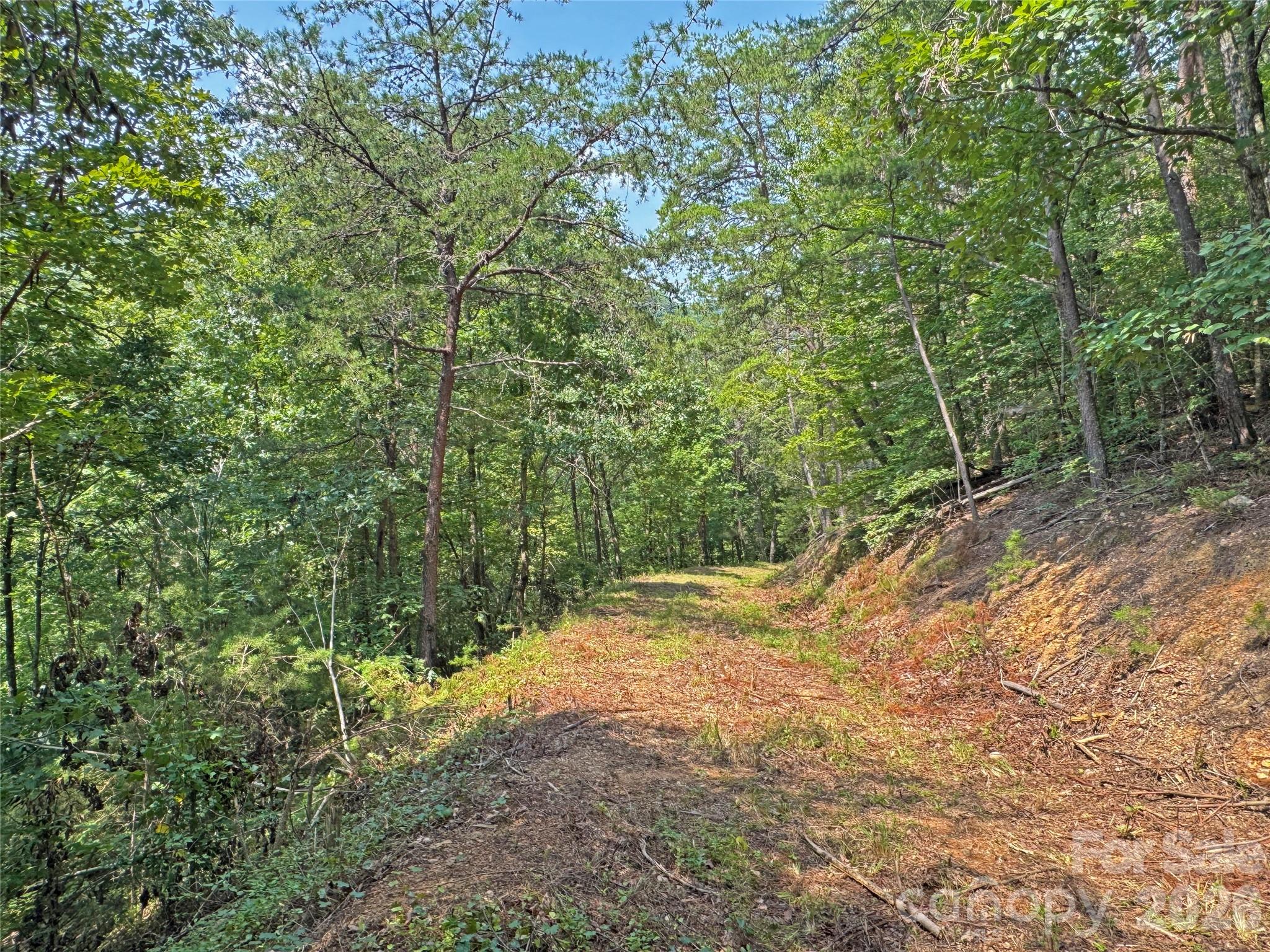 6080 River Road Property Photo 17