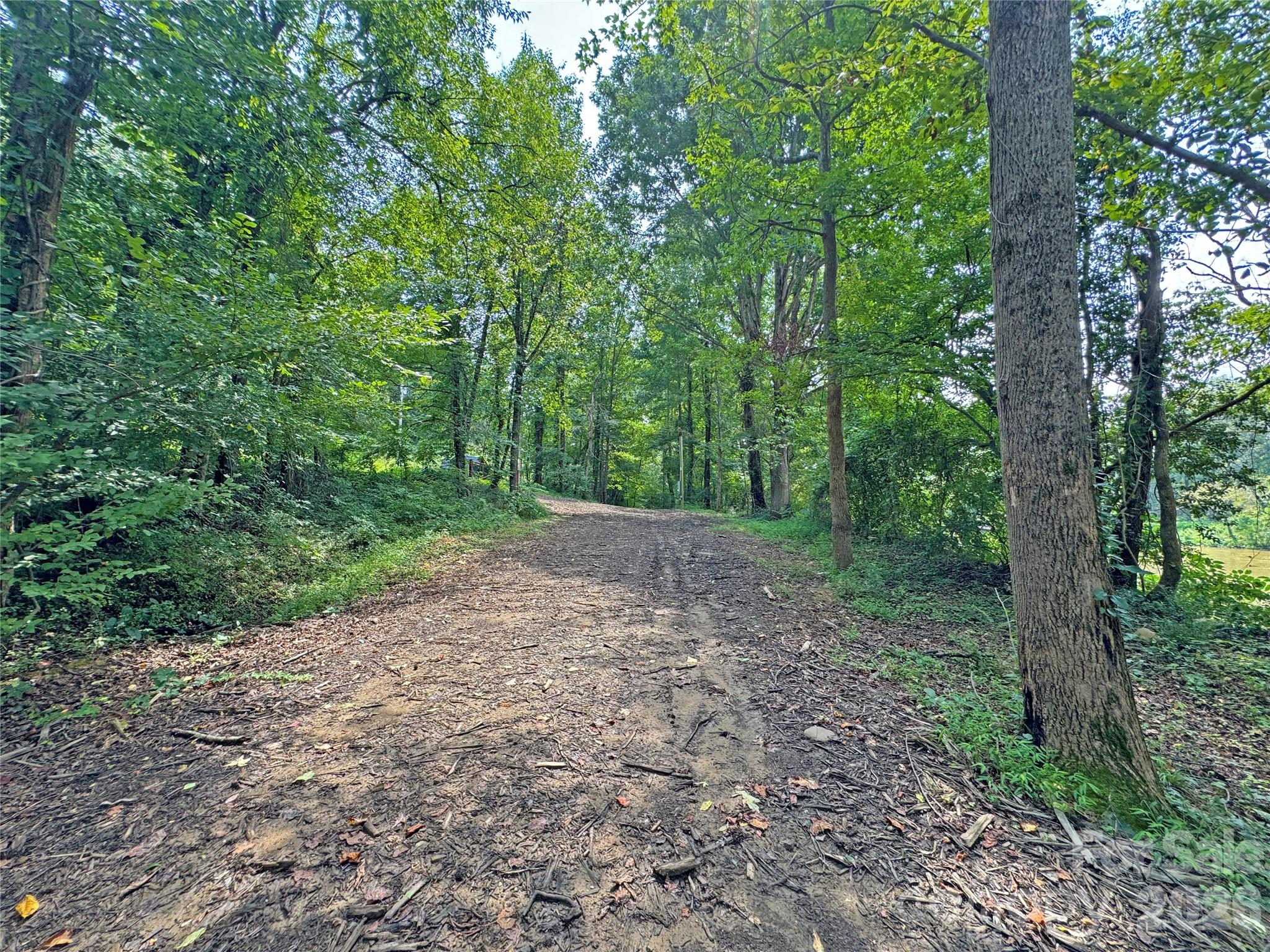 6080 River Road Property Photo 18